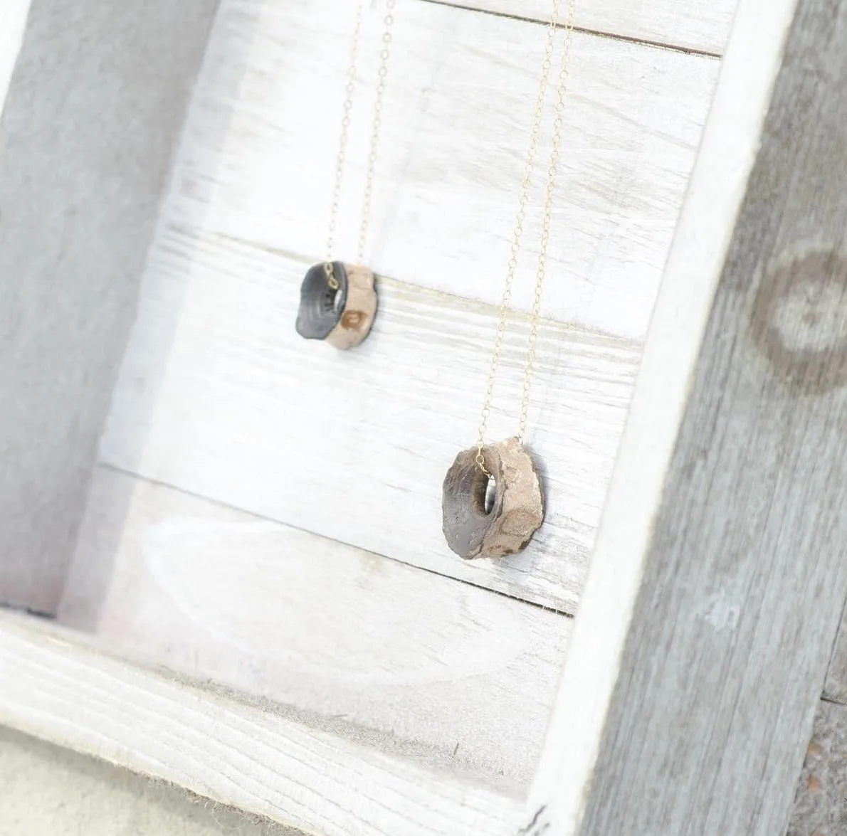 All is Swell | Fossil Shark Vertebra Necklace