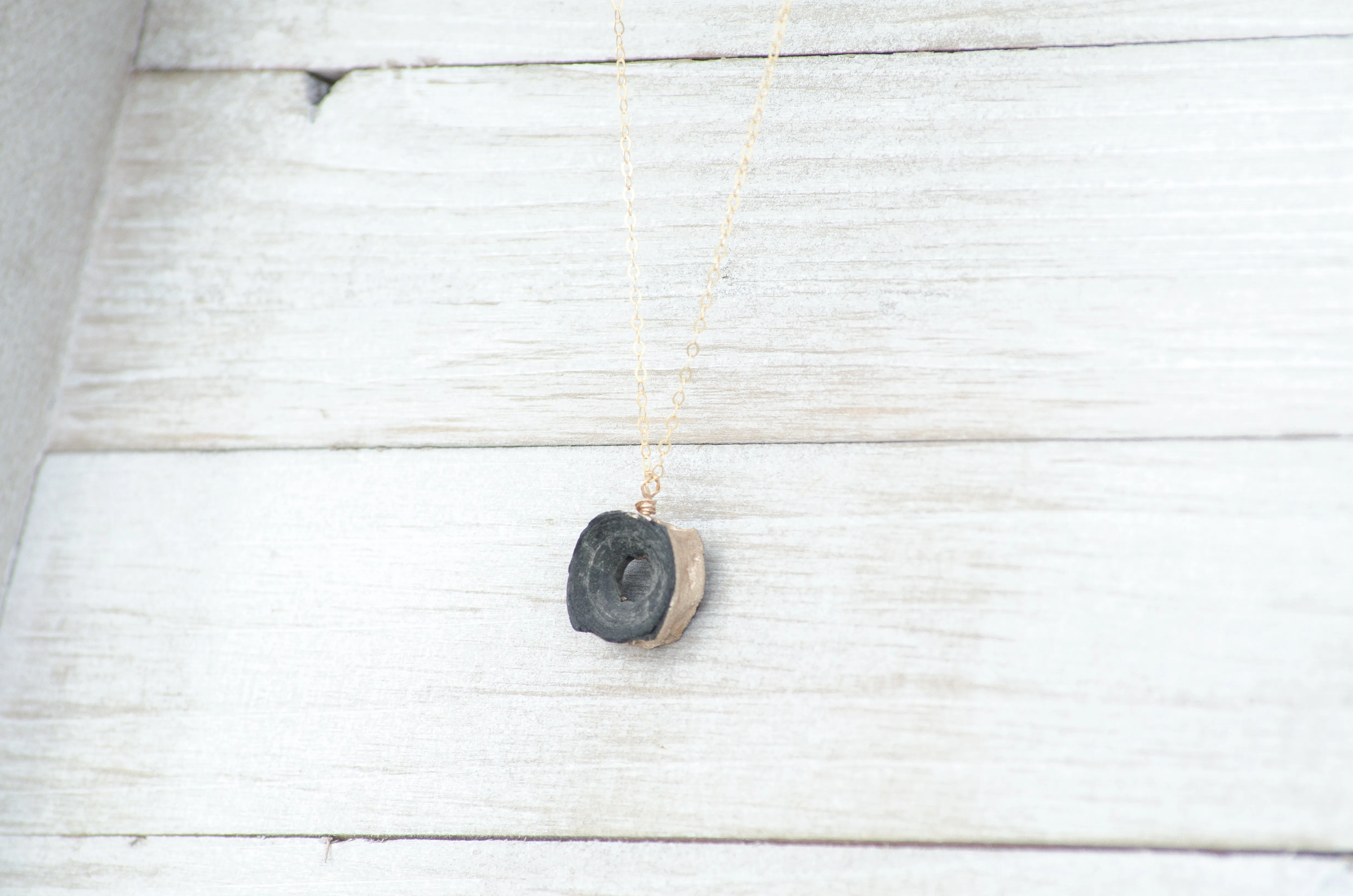 All is Swell | Fossil Shark Vertebra Necklace