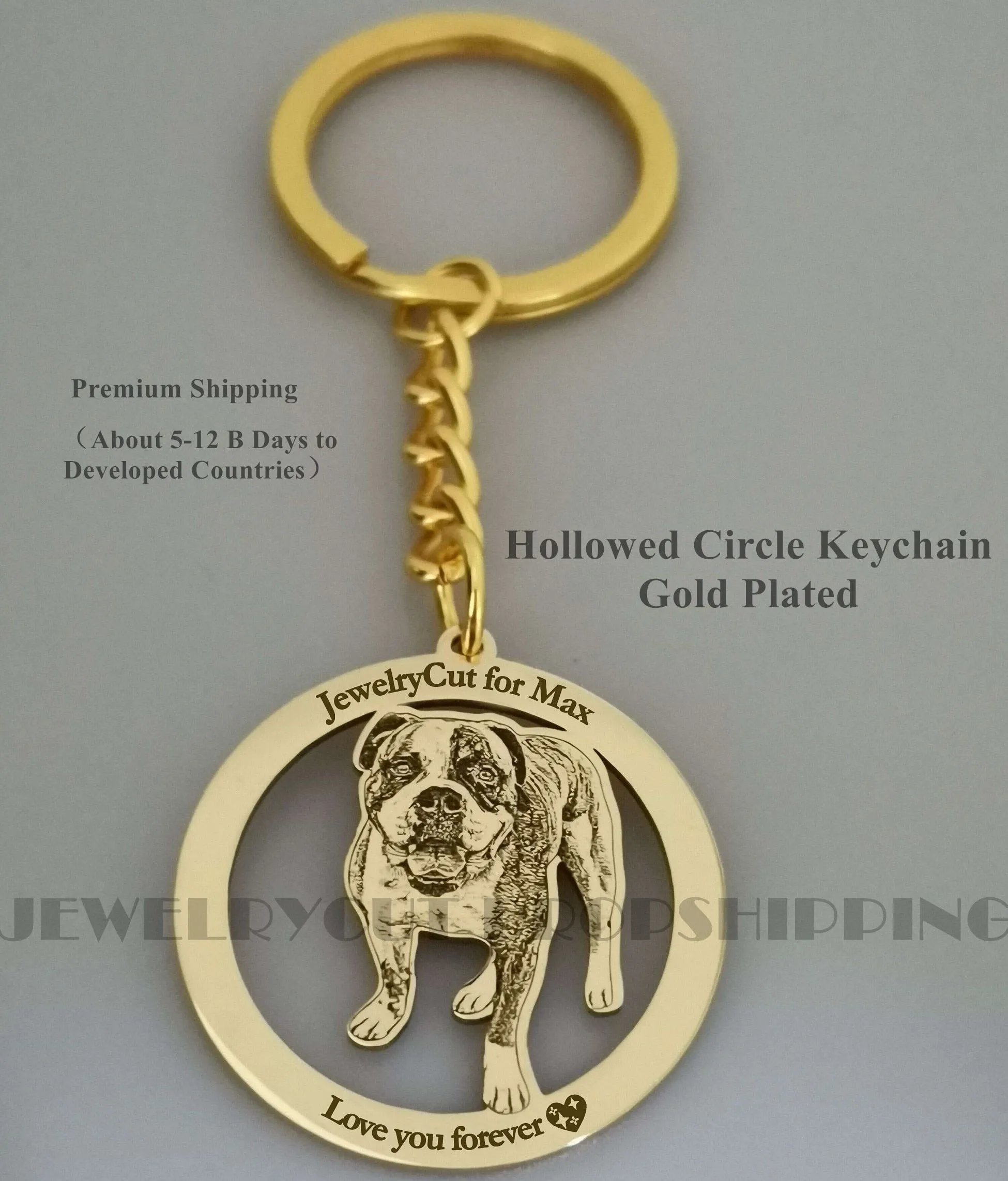 Customized Pet Keychain Photo personalized Jewelry 925 Sterling Silver Memory Keepsake Engrave Dog Cat Name Tag Portrait
