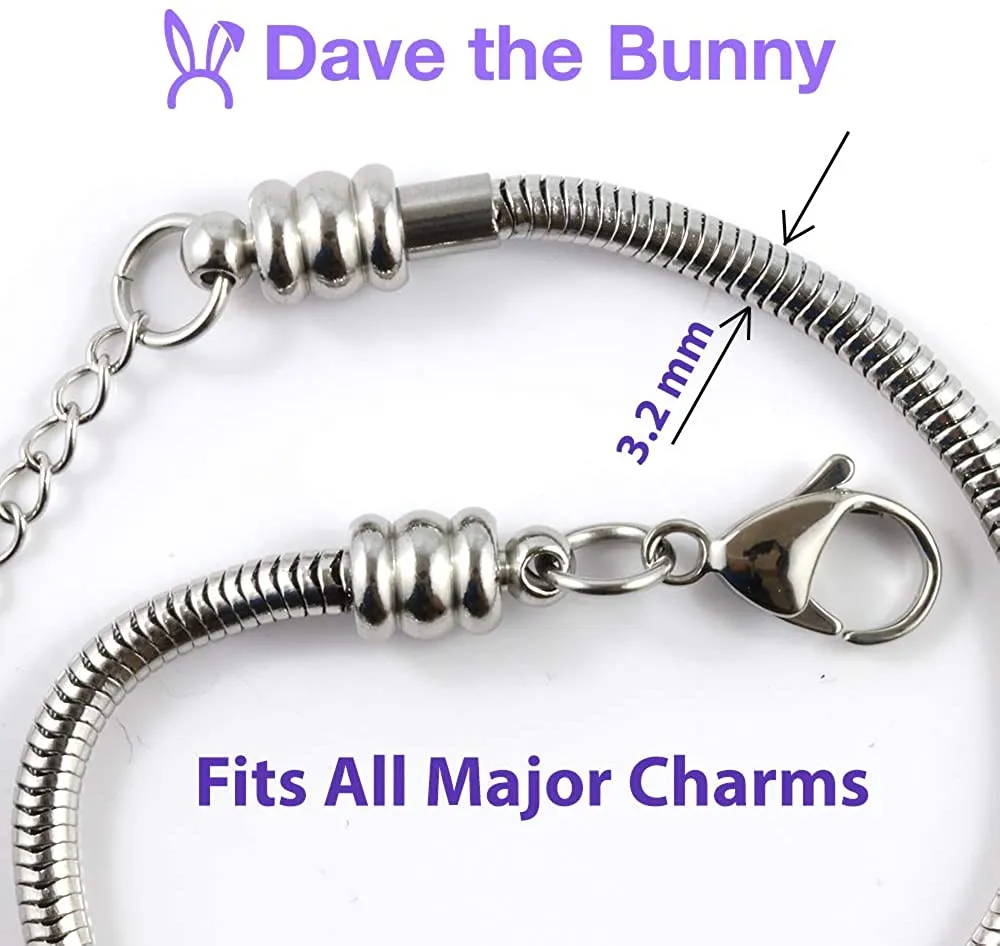 Diabetic Bracelet | Medical Alert Awareness Snake Chain Charm Bracelet for Men and Women Silver Plated Gift for Women and Men