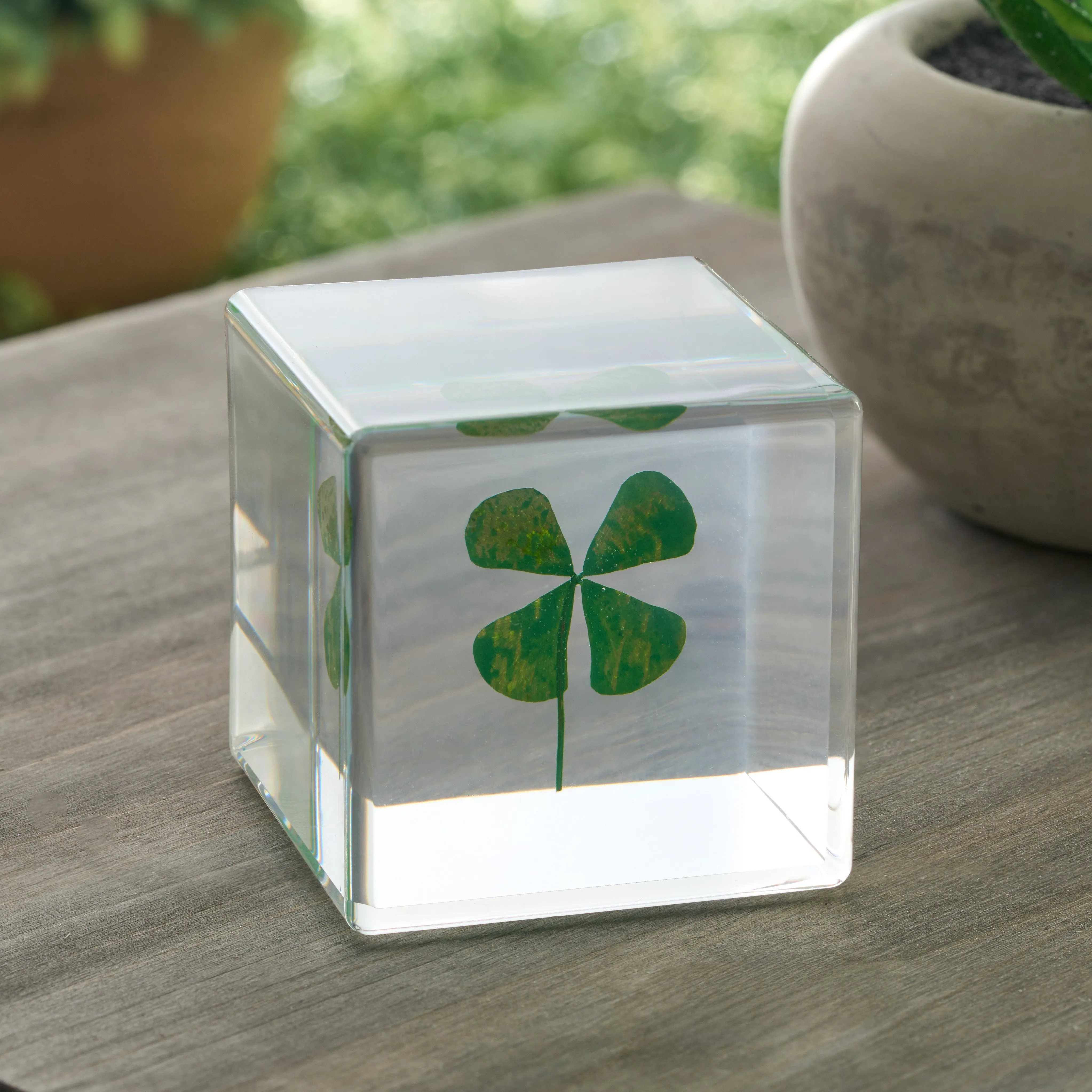 Dried Four-Leaf Clover Paperweight