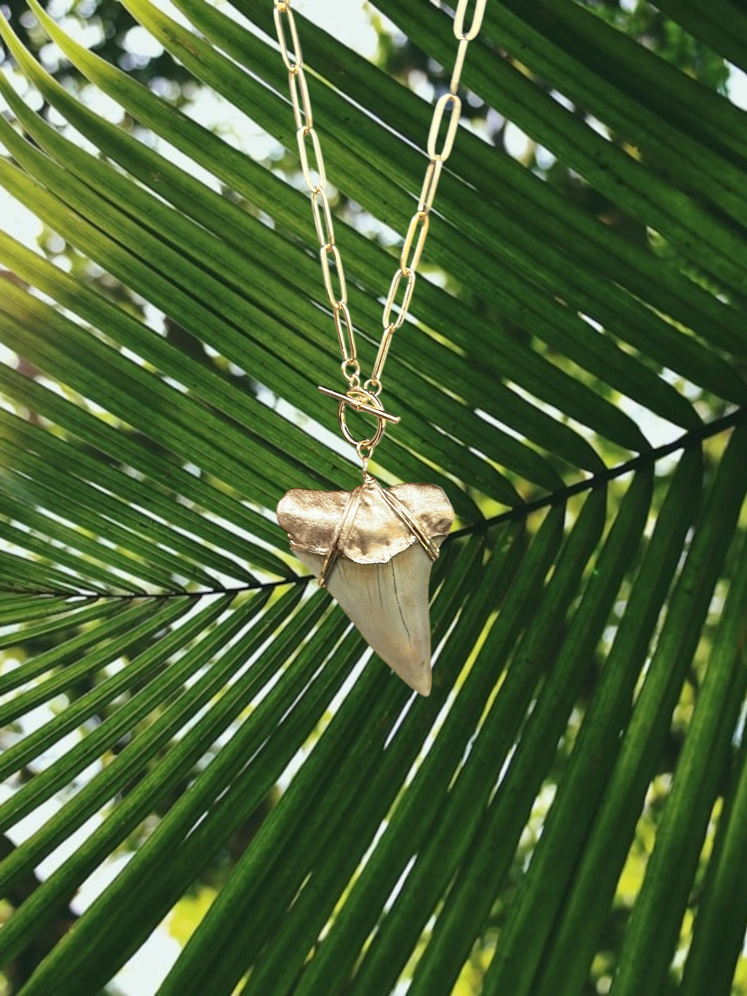 Giant White Shark Tooth Fossil Necklace | Gold-Tip on Chunky Chain