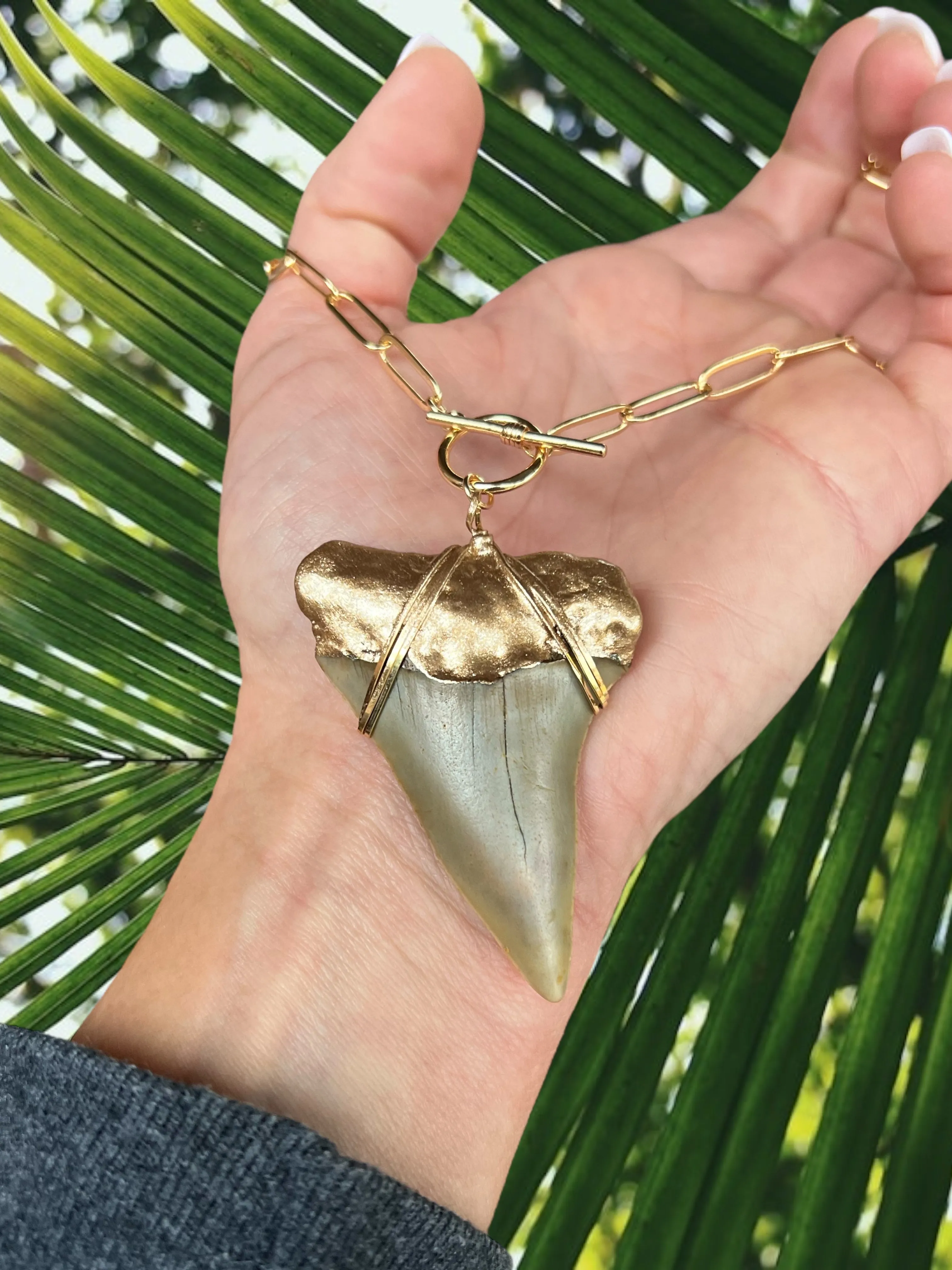 Giant White Shark Tooth Fossil Necklace | Gold-Tip on Chunky Chain
