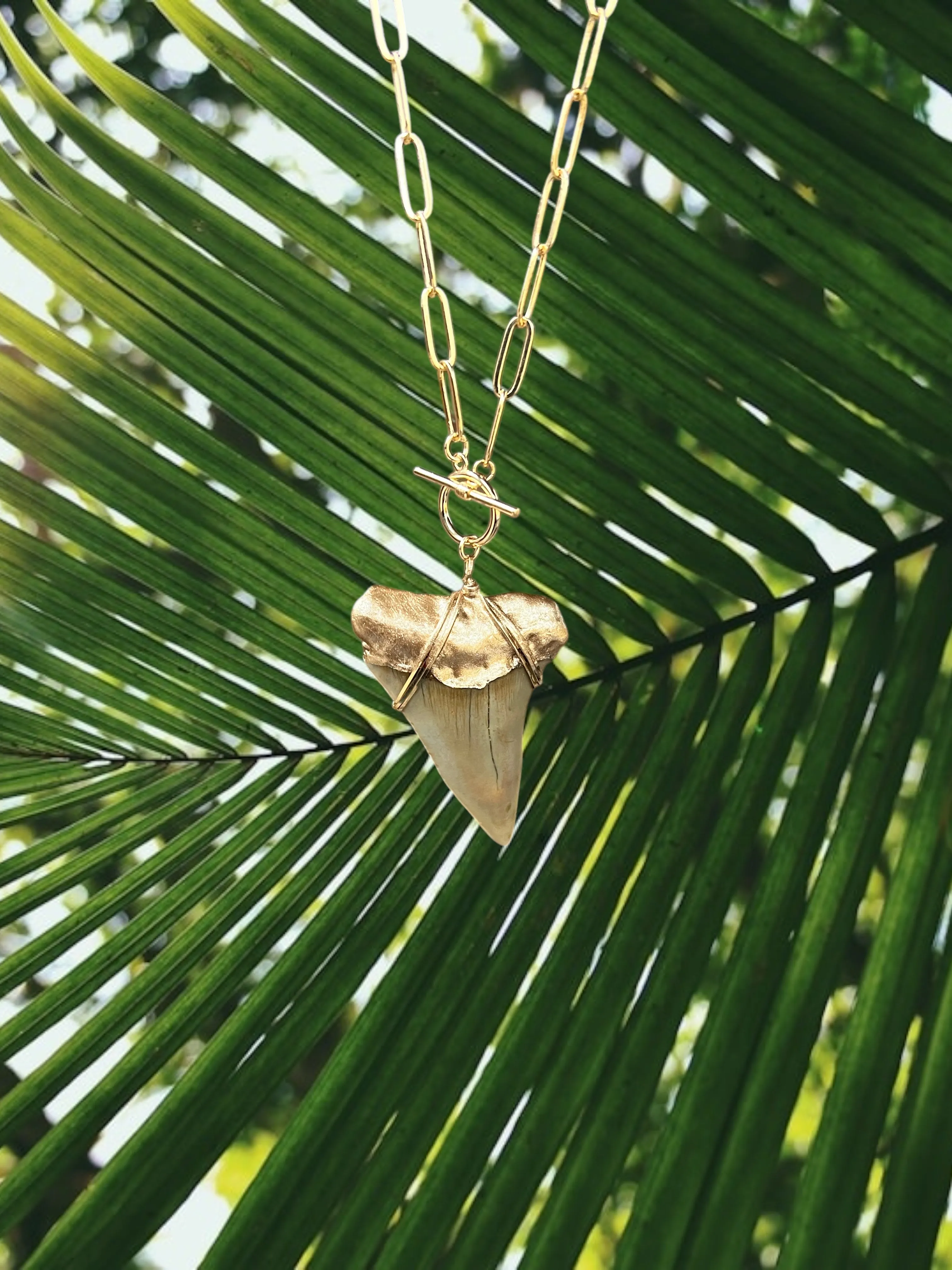 Giant White Shark Tooth Fossil Necklace | Gold-Tip on Chunky Chain