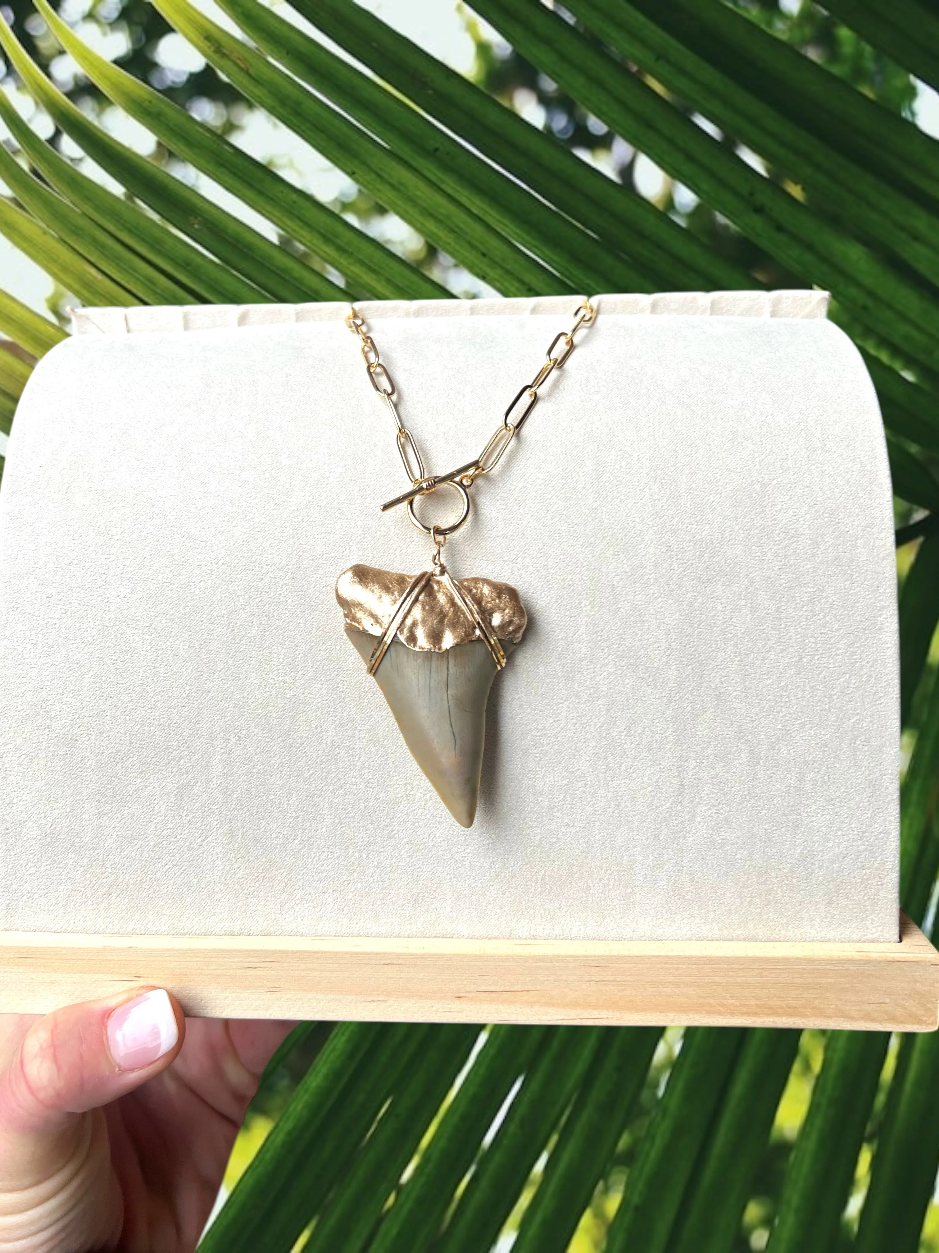 Giant White Shark Tooth Fossil Necklace | Gold-Tip on Chunky Chain