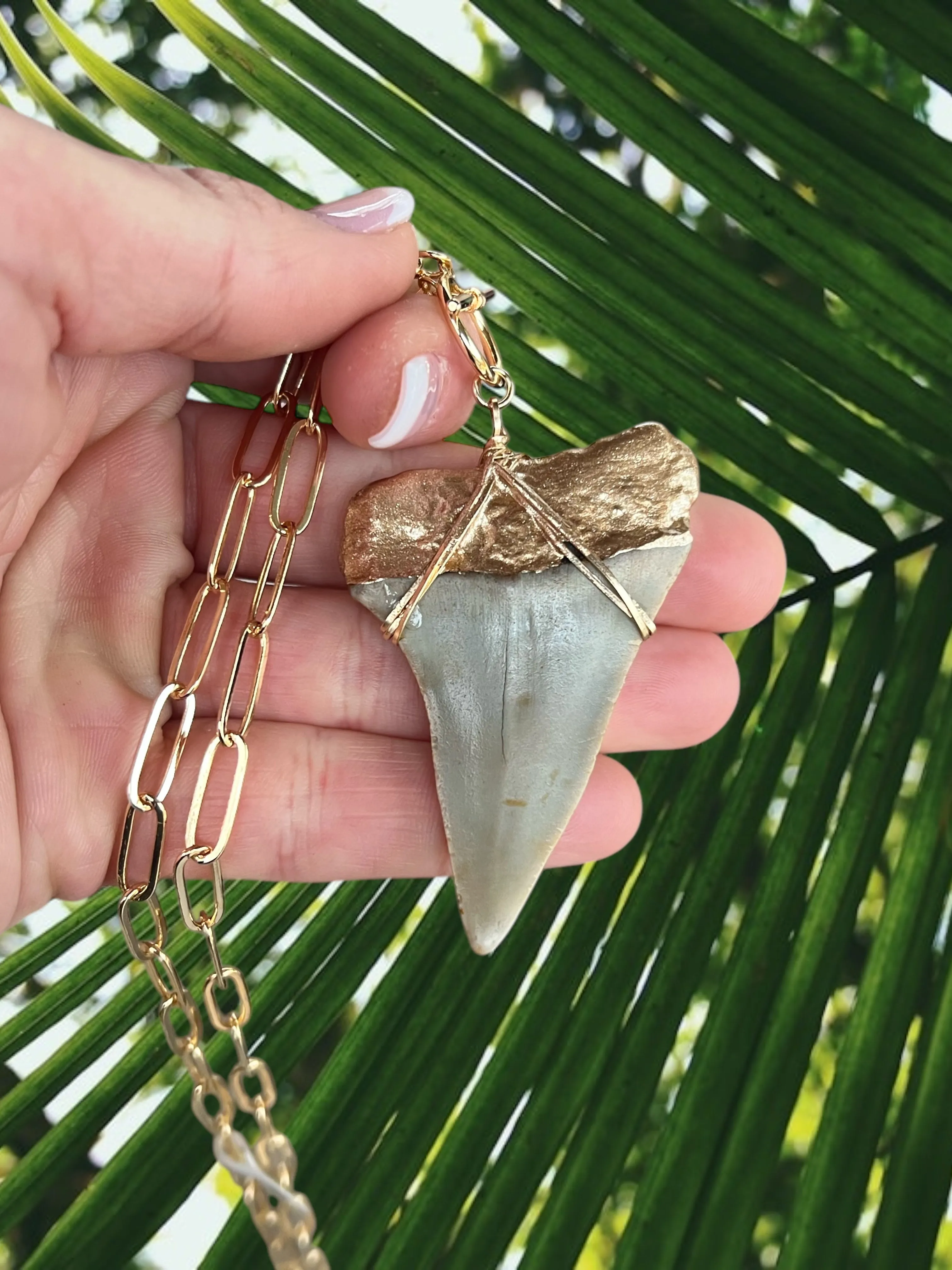 Giant White Shark Tooth Fossil Necklace | Gold-Tip on Chunky Chain
