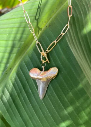 Gold-Tip Large Shark Tooth Chunky Chain Necklace