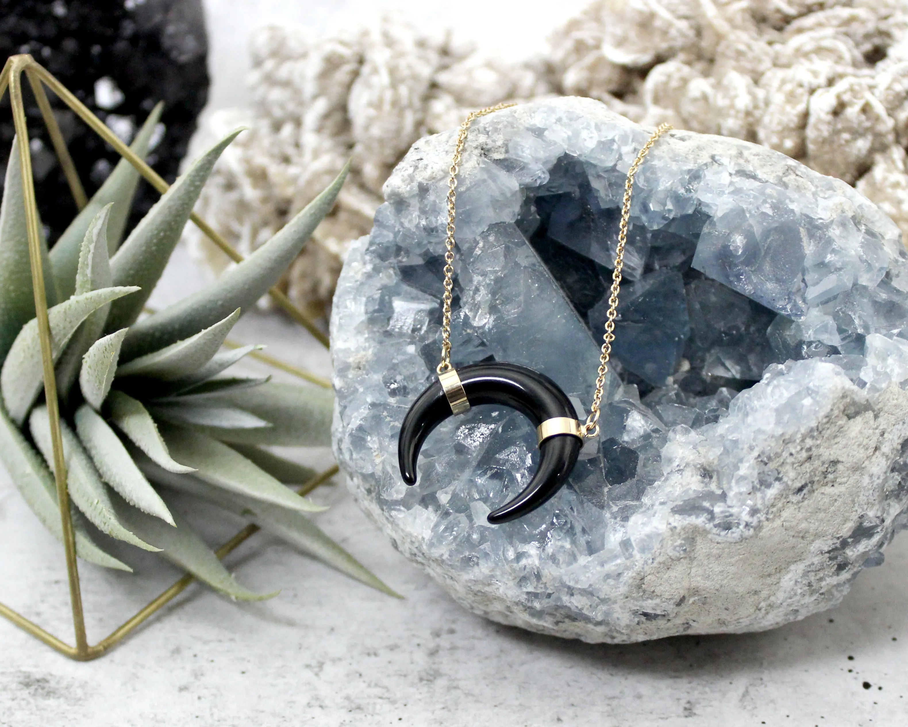 Grab Life by the Horn // Black or White Crescent Horn Necklace, Gold Filled Chain // BH-N003