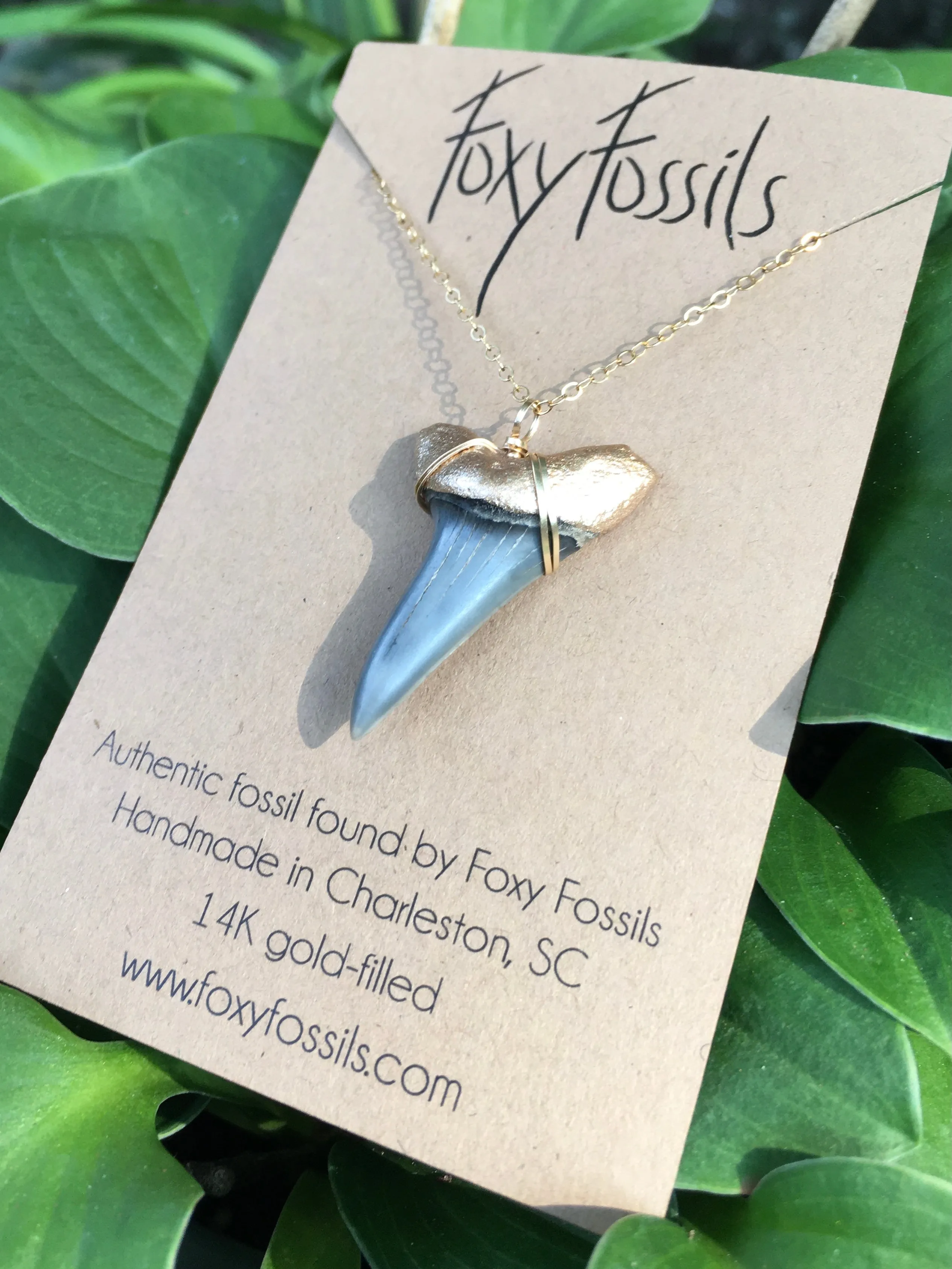 Huge Mako Shark Tooth Necklace