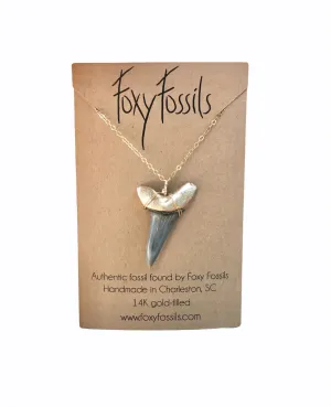Huge Mako Shark Tooth Necklace