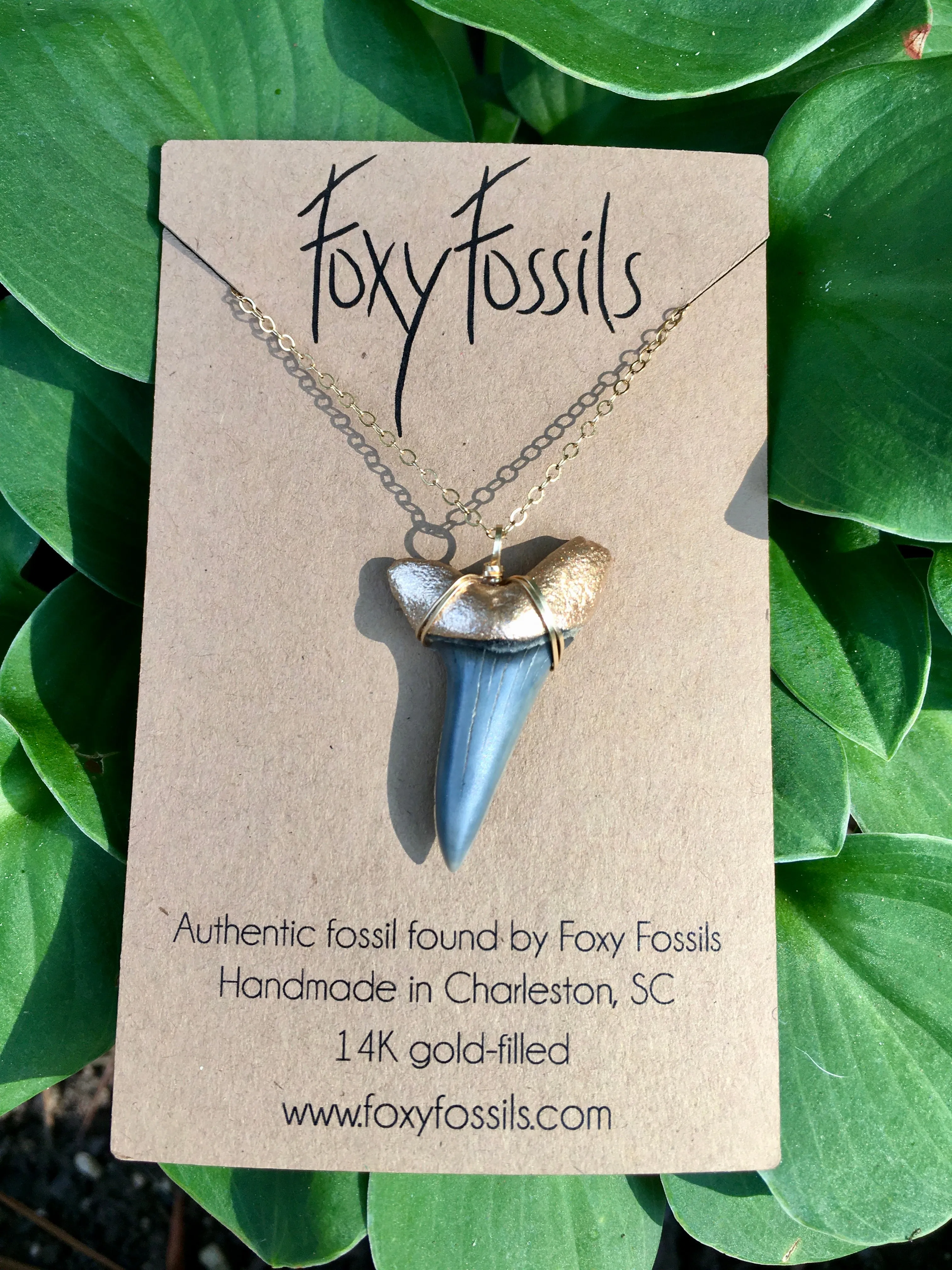 Huge Mako Shark Tooth Necklace