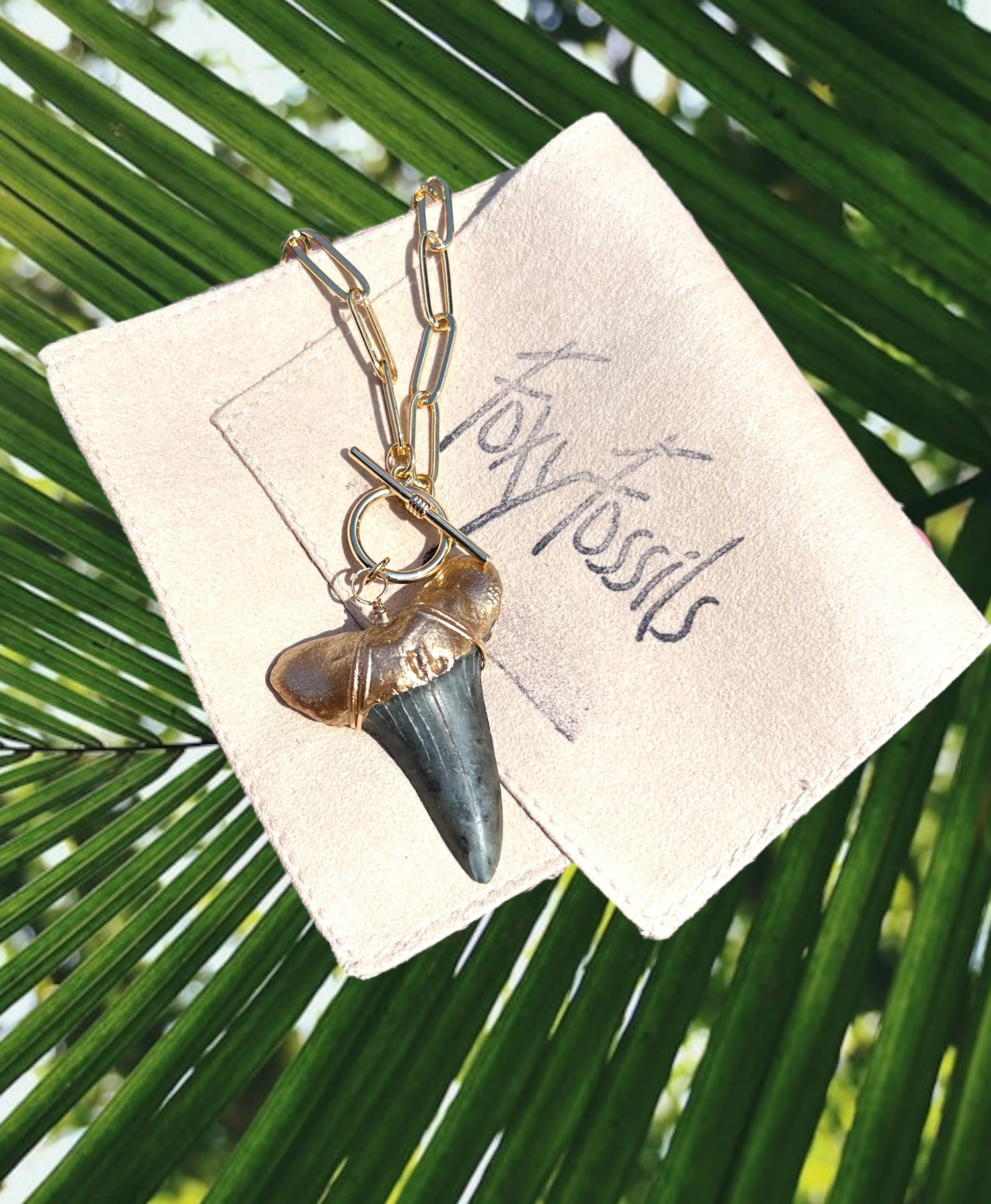 Large Prehistoric Shark Tooth Necklace—Gold-Tip on Chunky Chain