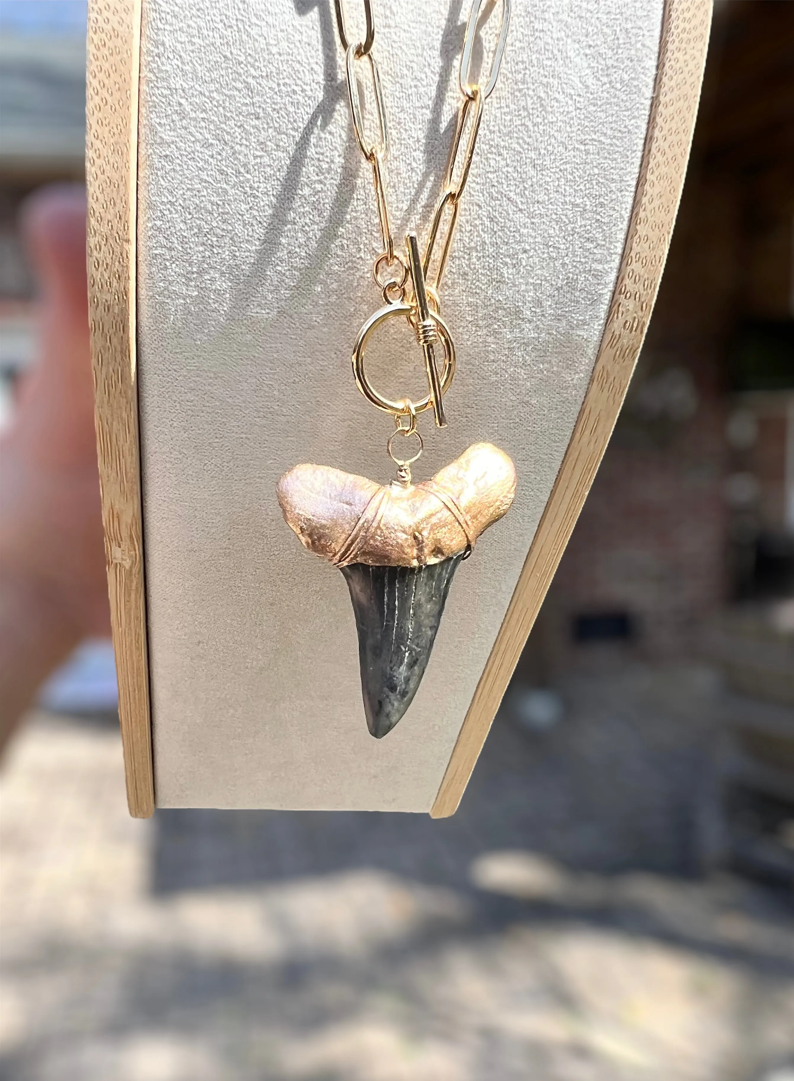 Large Prehistoric Shark Tooth Necklace—Gold-Tip on Chunky Chain