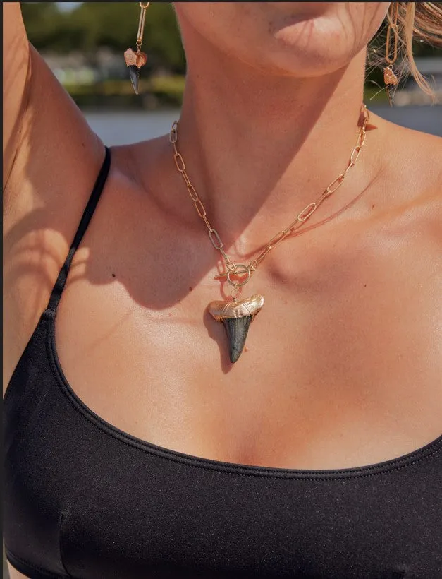 Large Prehistoric Shark Tooth Necklace—Gold-Tip on Chunky Chain