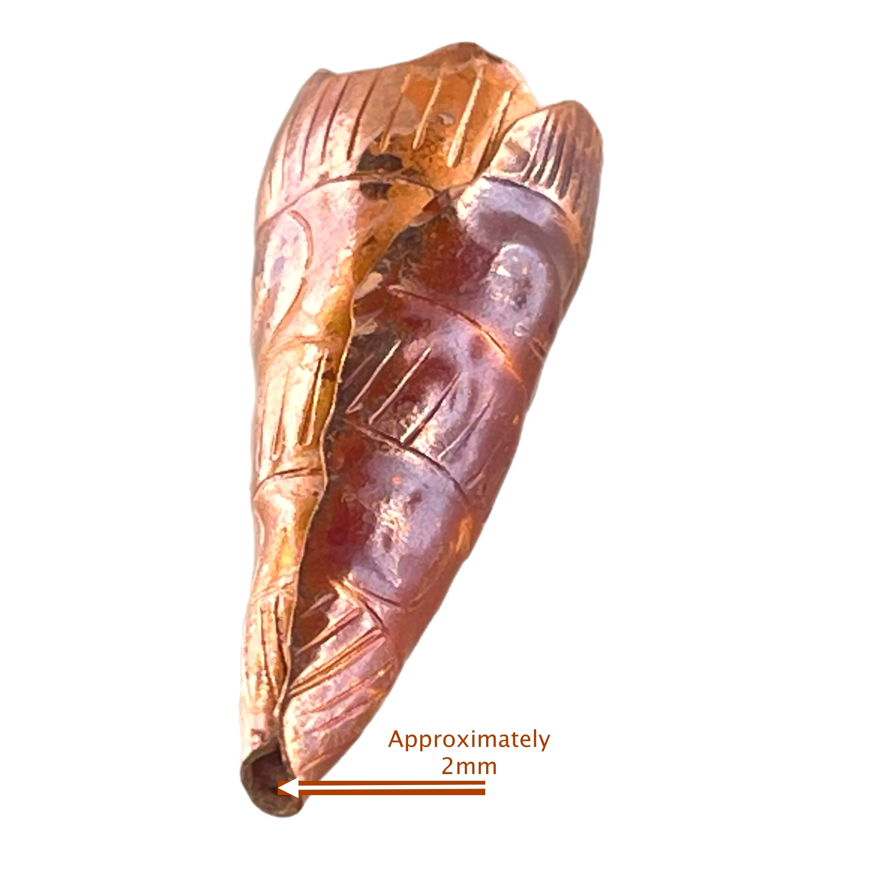 Medium Folded Copper Cone End