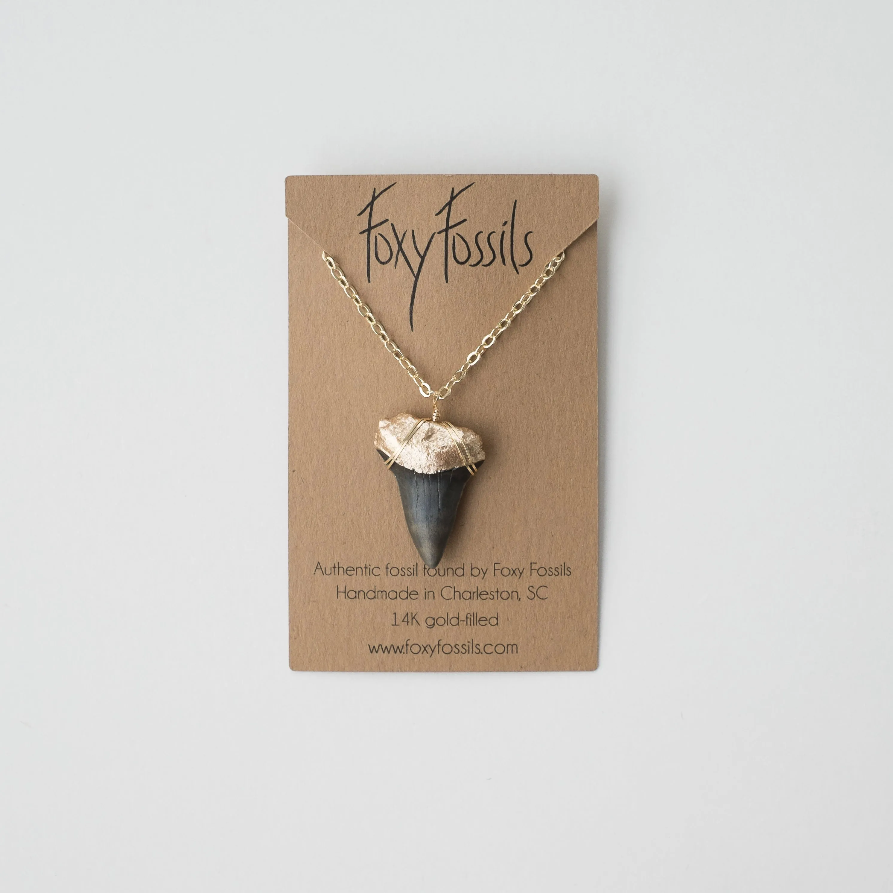 Megalodon Shark Tooth Necklace