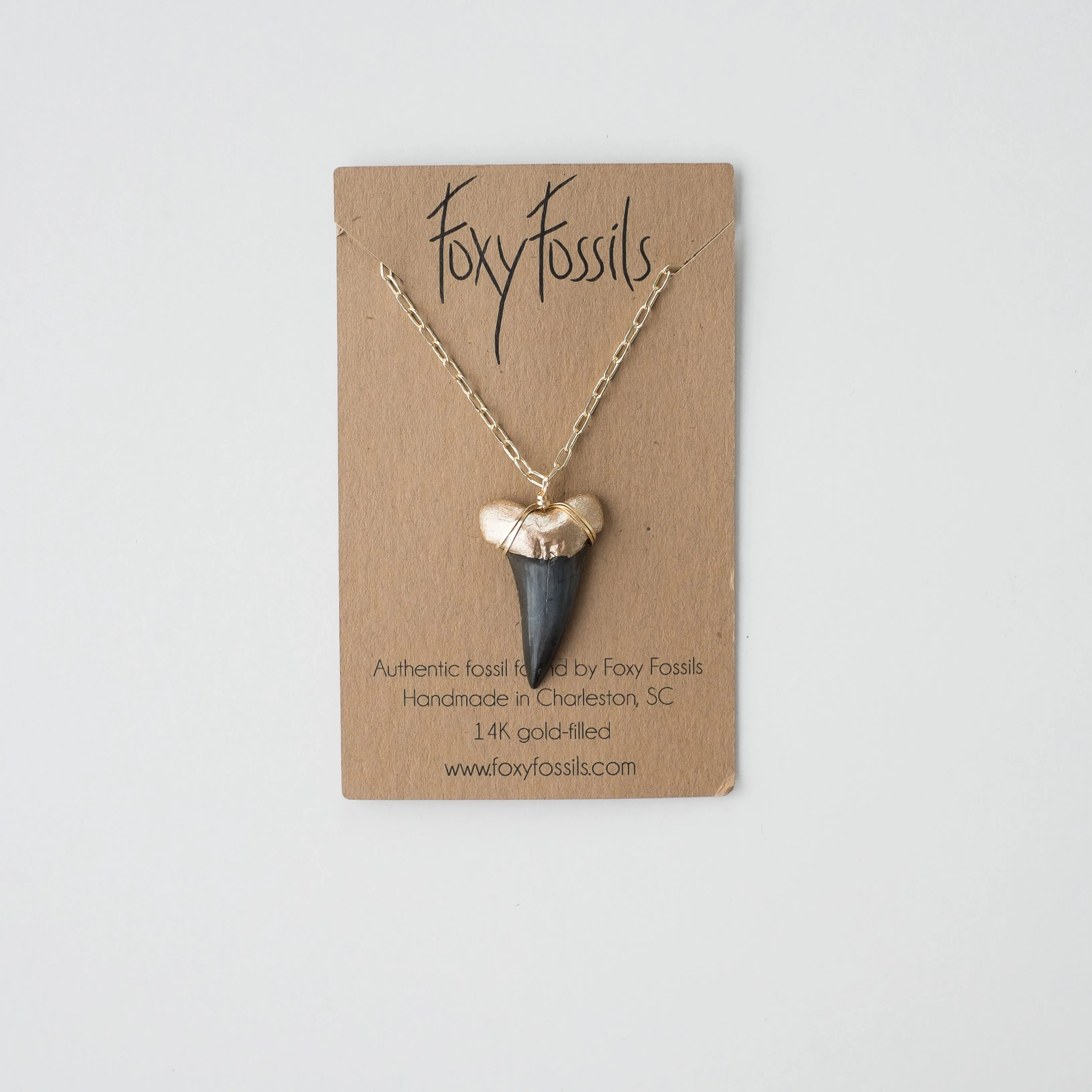 Megalodon Shark Tooth Necklace