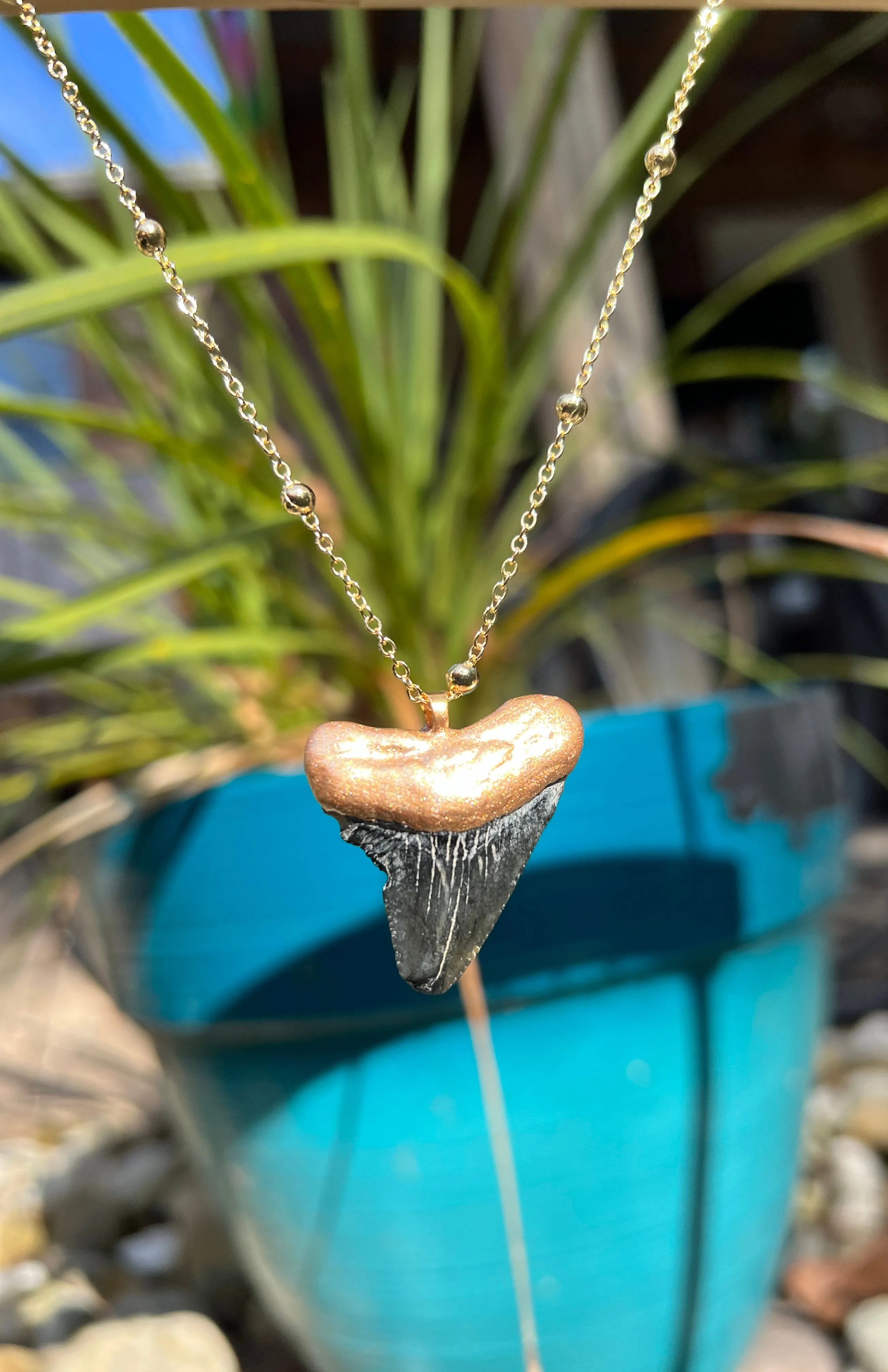 Megalodon Shark Tooth Necklace