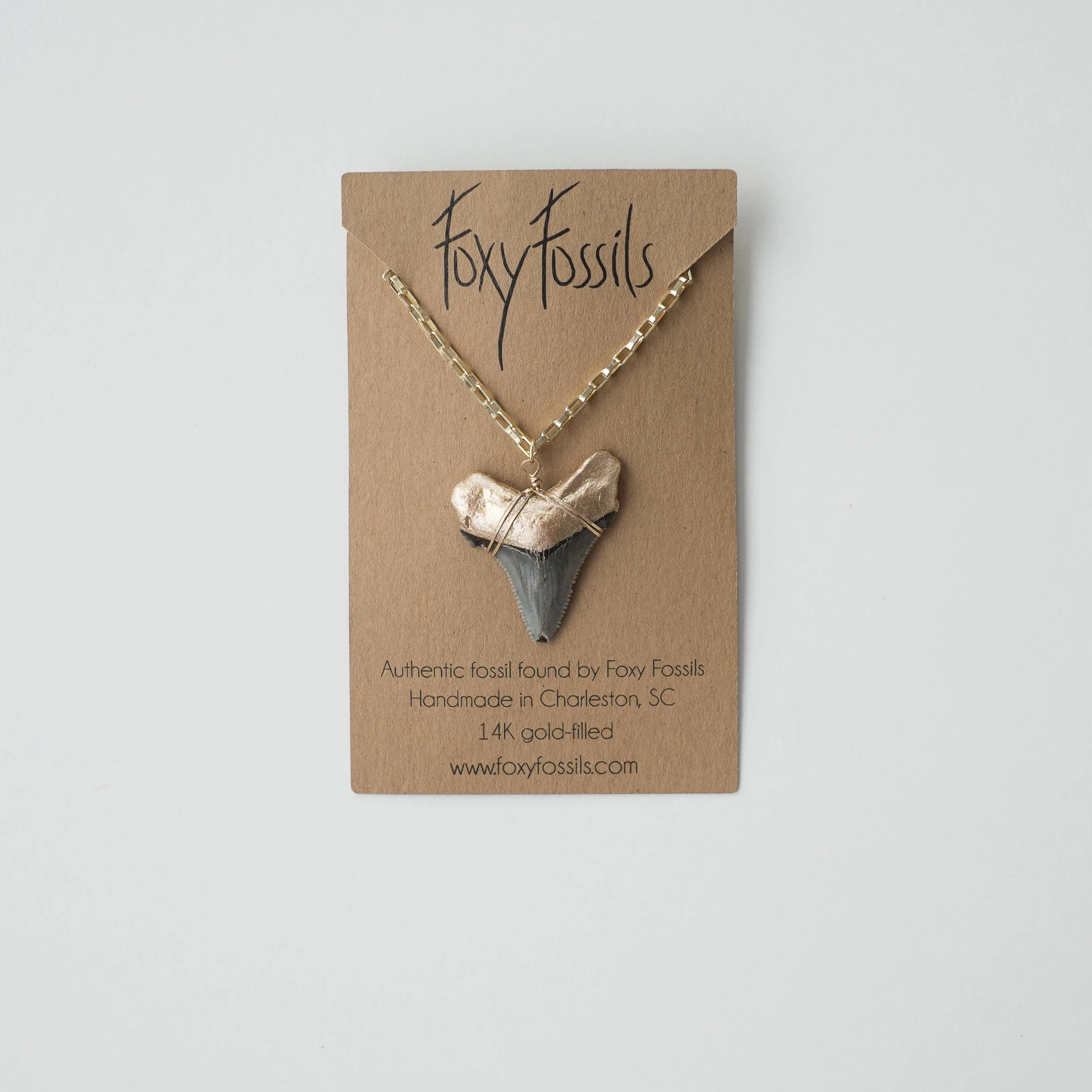 Megalodon Shark Tooth Necklace