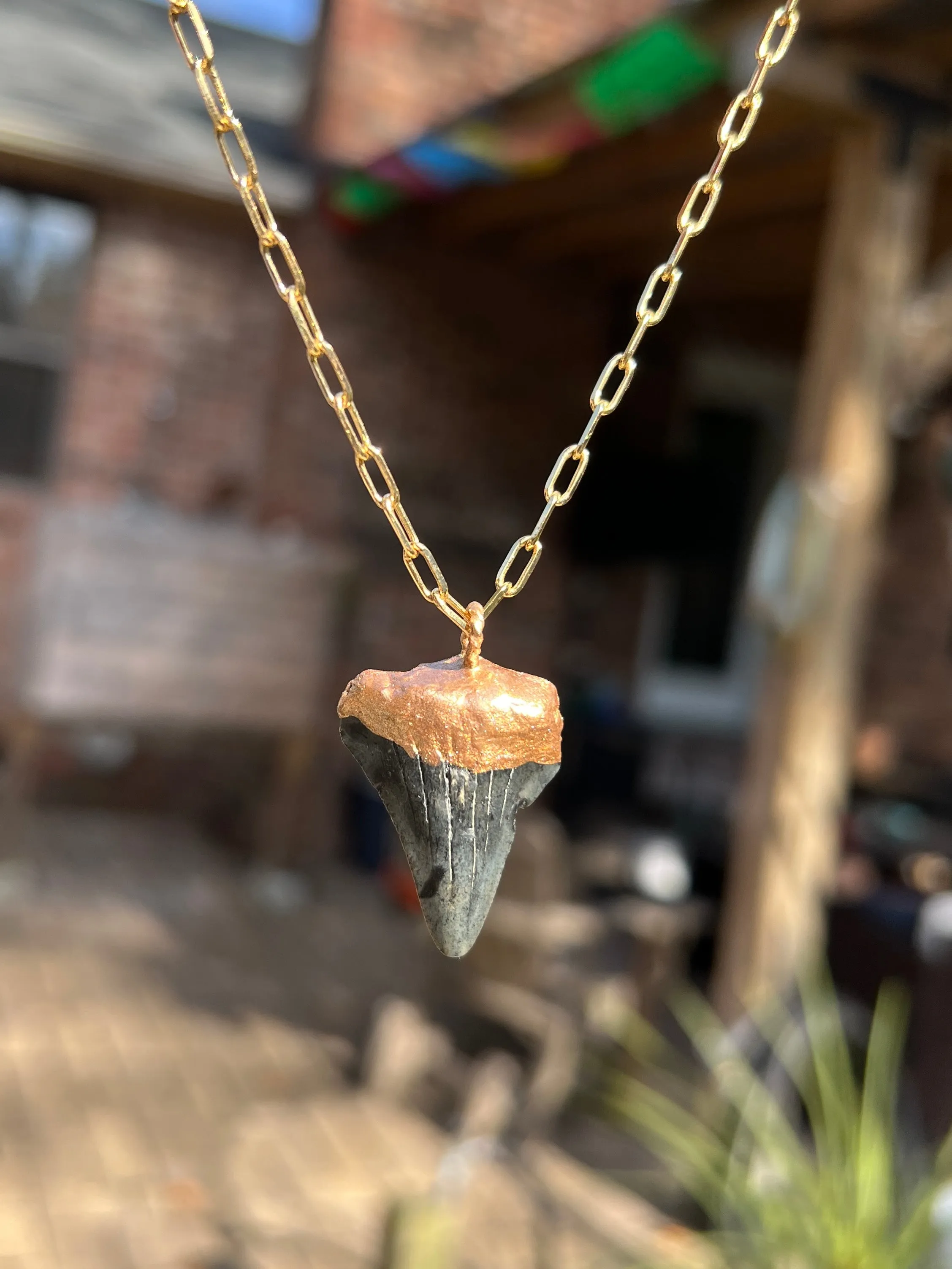 Megalodon Shark Tooth Necklace
