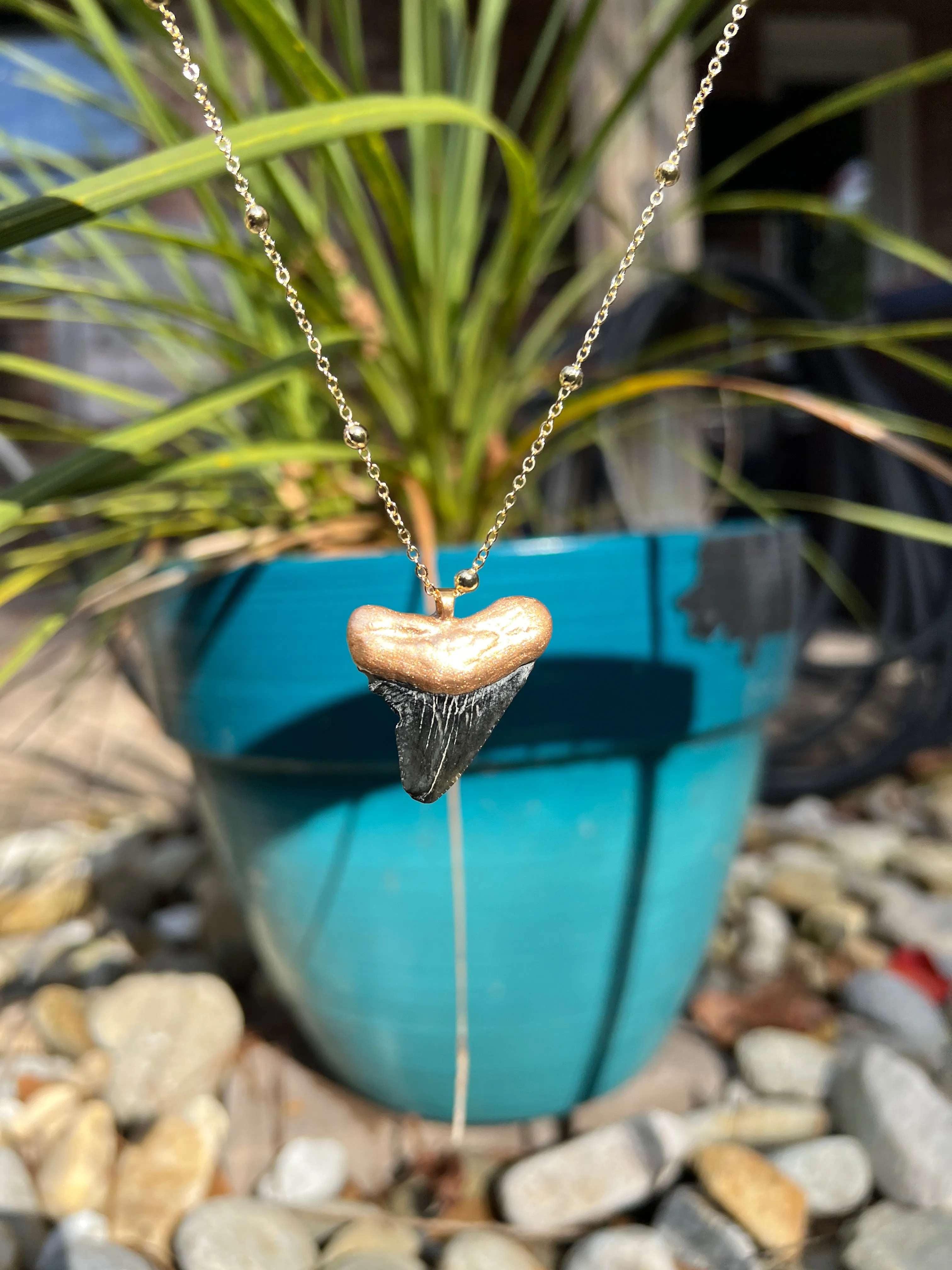 Megalodon Shark Tooth Necklace