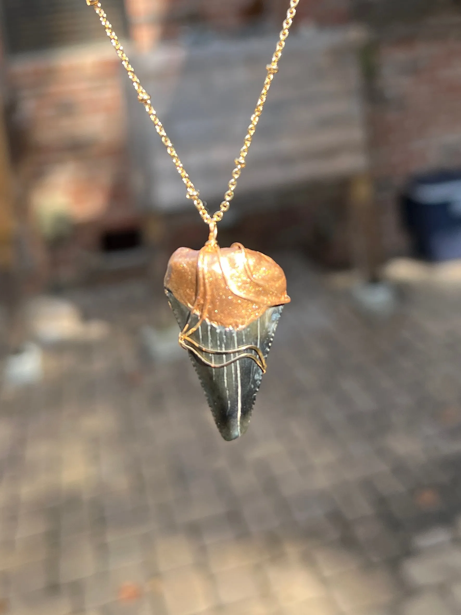 Megalodon Shark Tooth Necklace