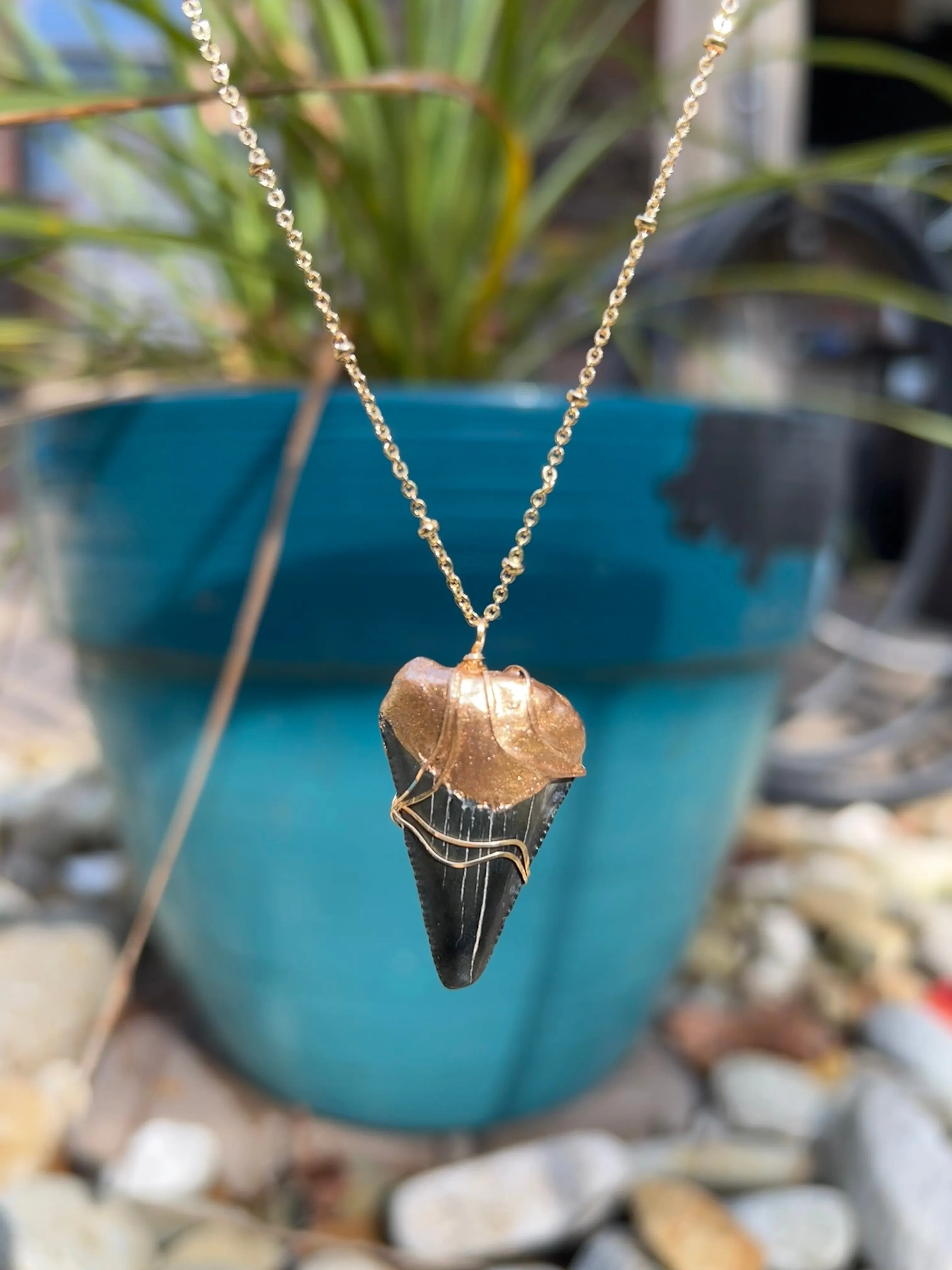 Megalodon Shark Tooth Necklace