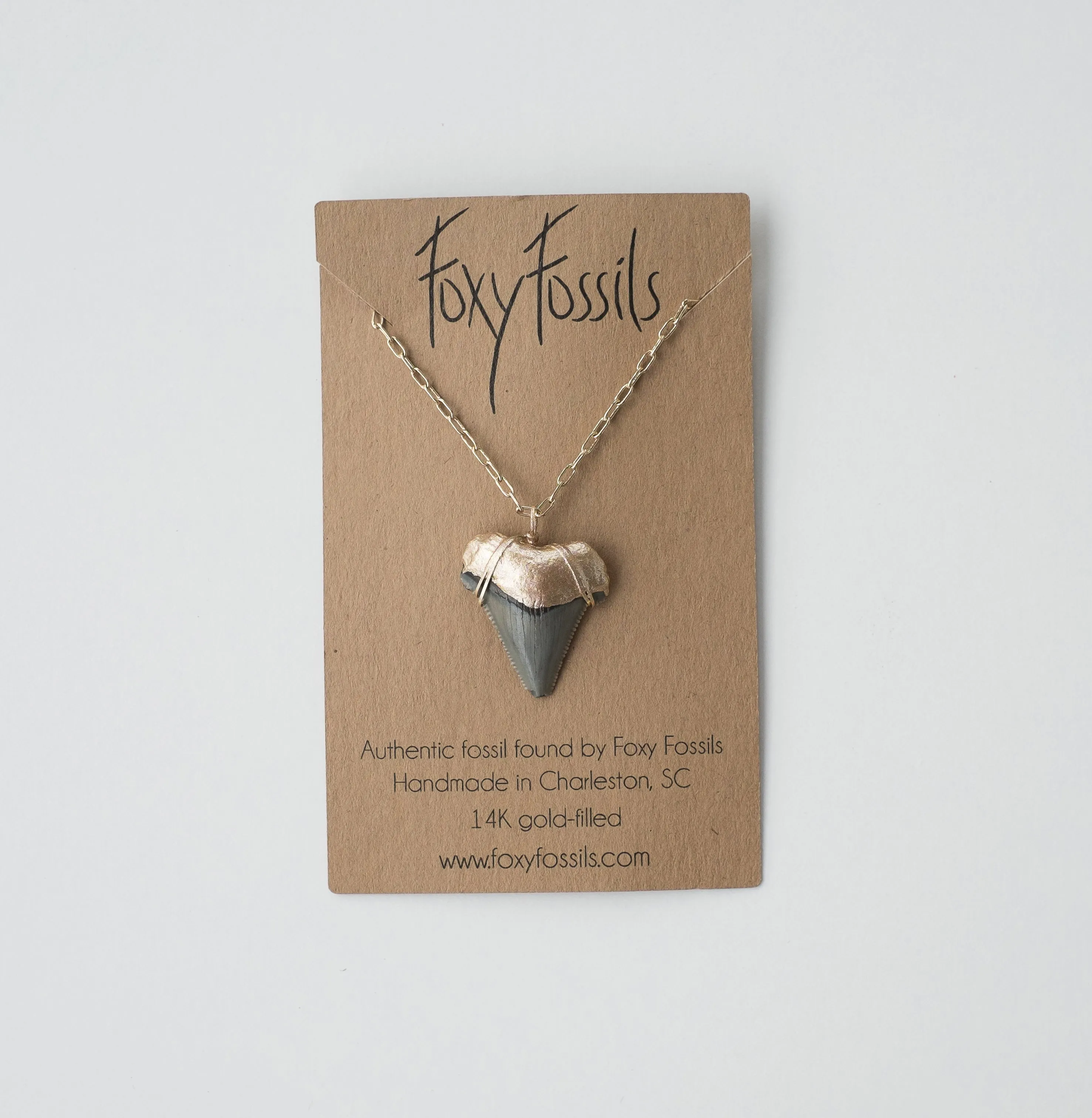 Megalodon Shark Tooth Necklace