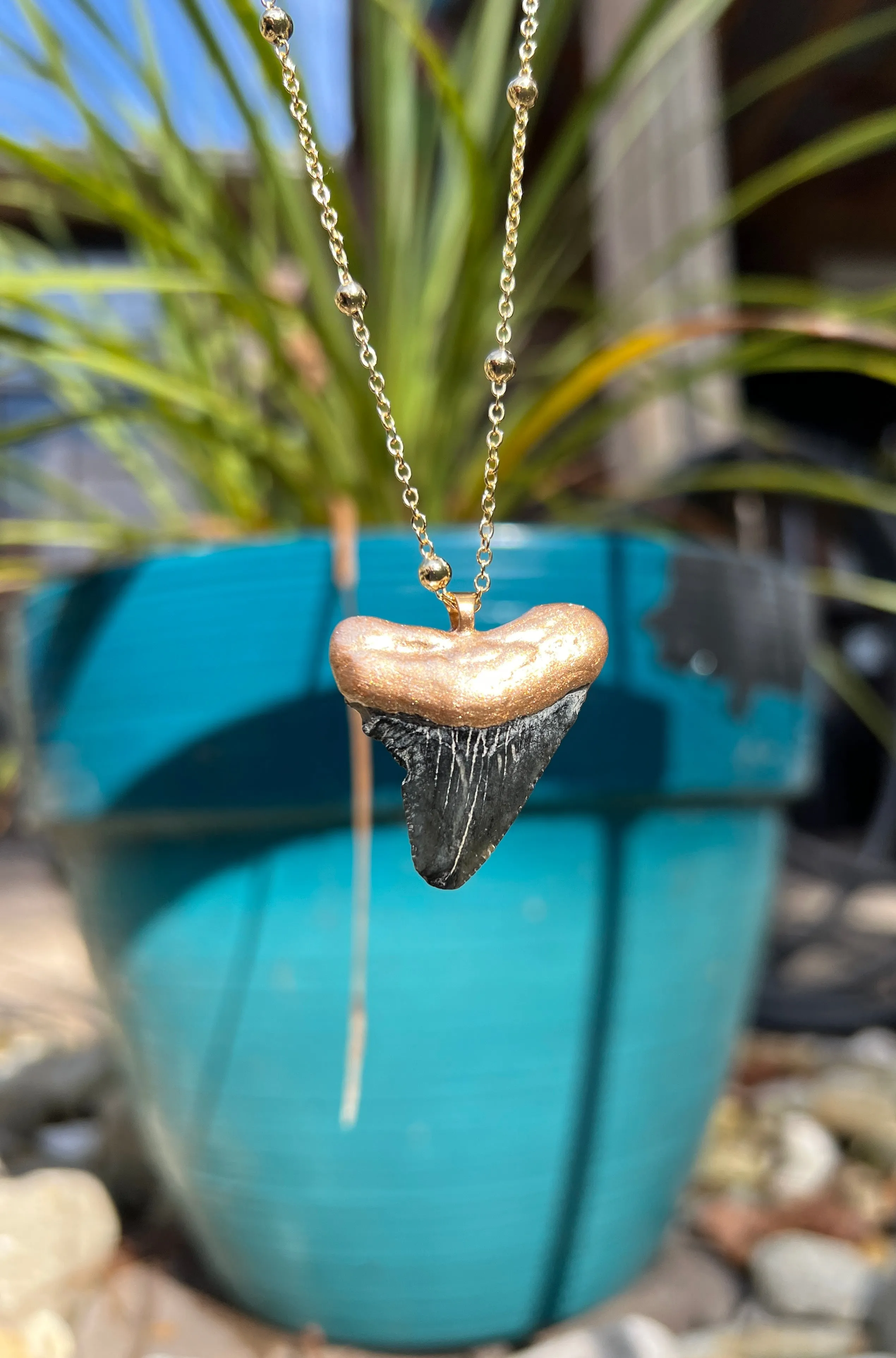 Megalodon Shark Tooth Necklace
