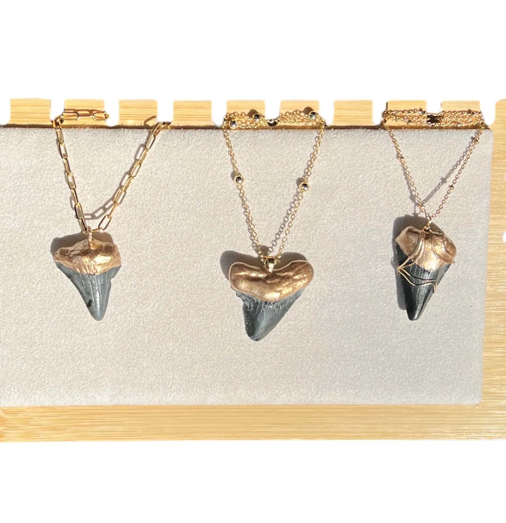 Megalodon Shark Tooth Necklace
