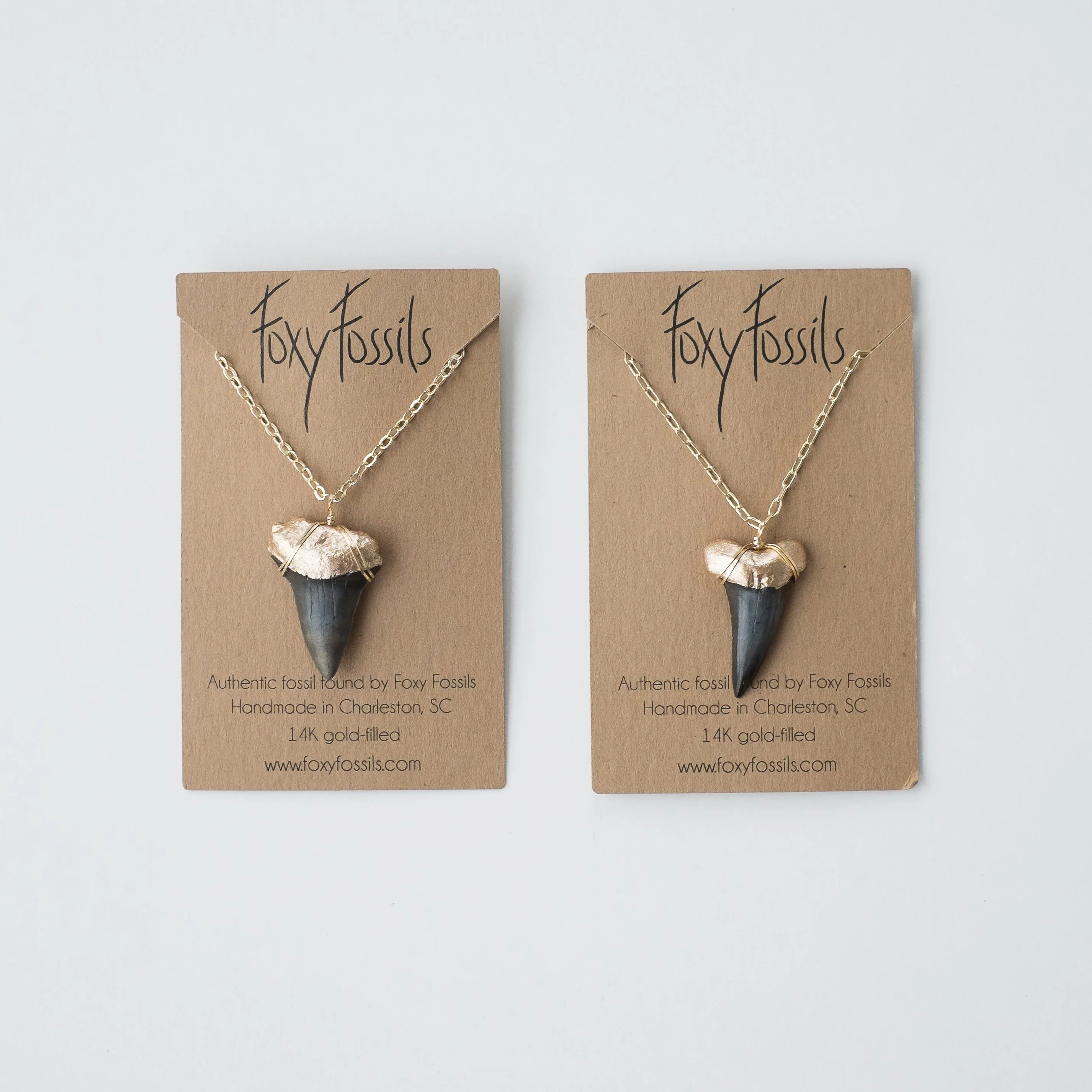 Megalodon Shark Tooth Necklace