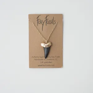 Megalodon Shark Tooth Necklace