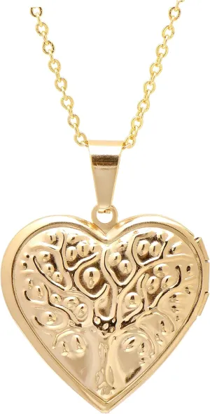 Paialco Stainless Steel Heart Shaped Locket Pendant Necklace for Women