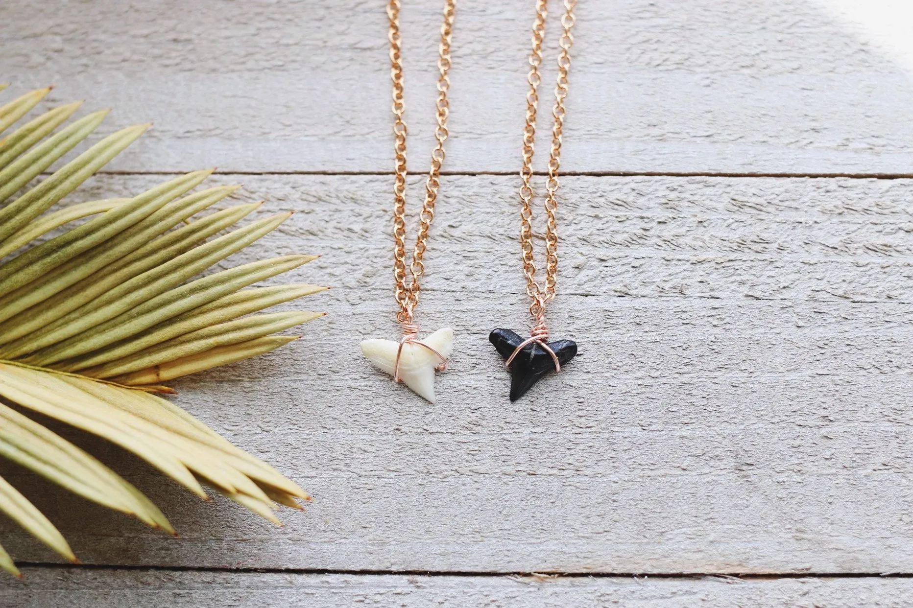 Rose Gold Mini Mako Shark Tooth Choker Necklaces