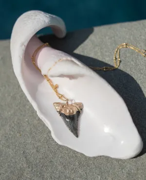 Shark Tooth Necklace — Hemipristis Serra Fossil Tooth | Foxy Fossils