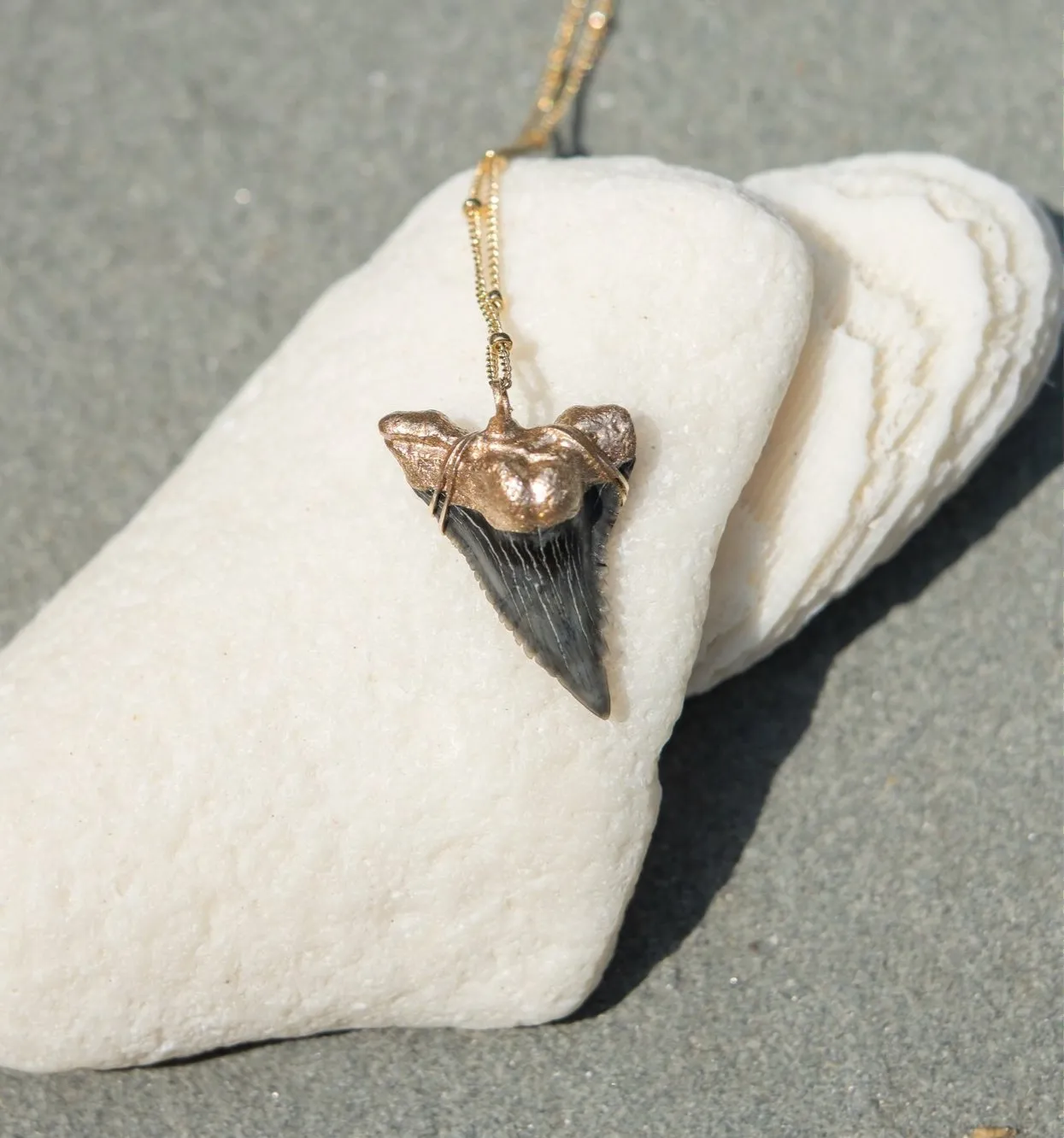 Shark Tooth Necklace — Hemipristis Serra Fossil Tooth | Foxy Fossils