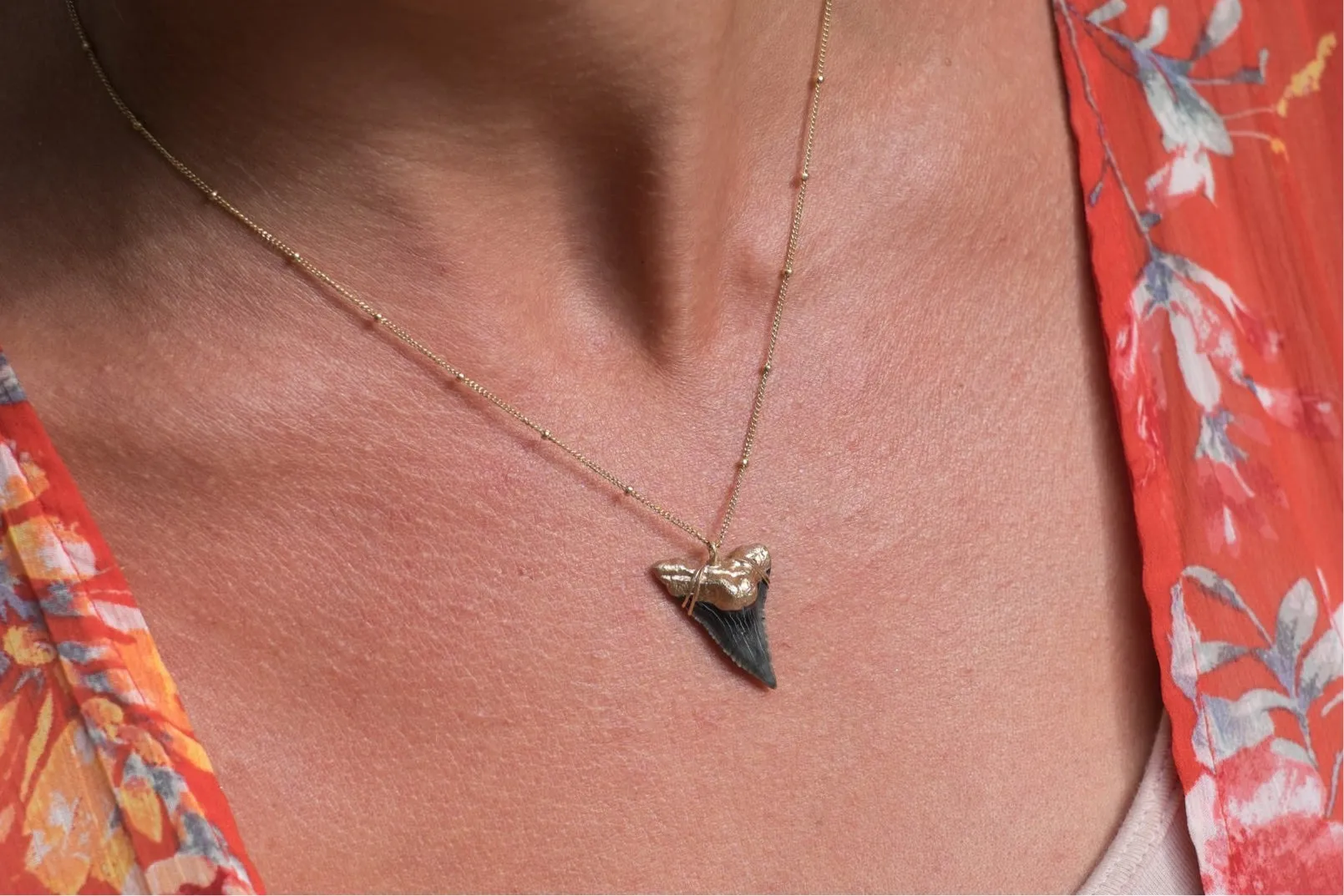Shark Tooth Necklace — Hemipristis Serra Fossil Tooth | Foxy Fossils