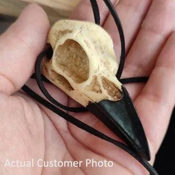 The Raven's Skull Necklace And Earrings Set