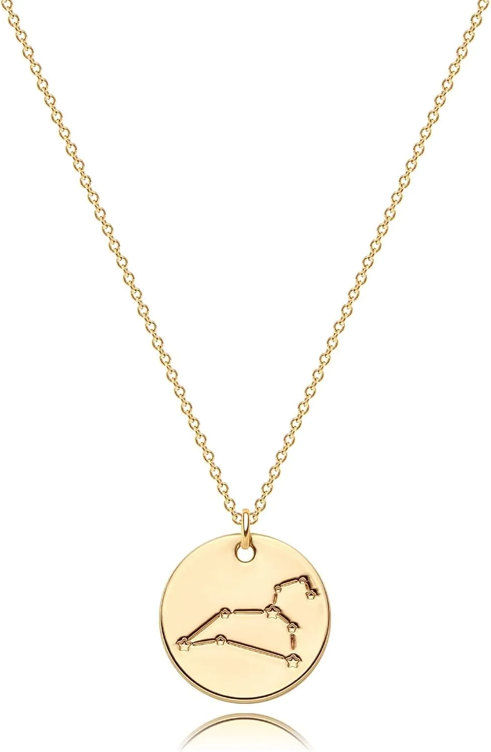 WEARON Zodiac Necklace for Women Gold Coin Disc Constellation Horoscope Sign Astrology Engraved 14k Gold Plated Dainty Chain Personalized Birthday Jewelry