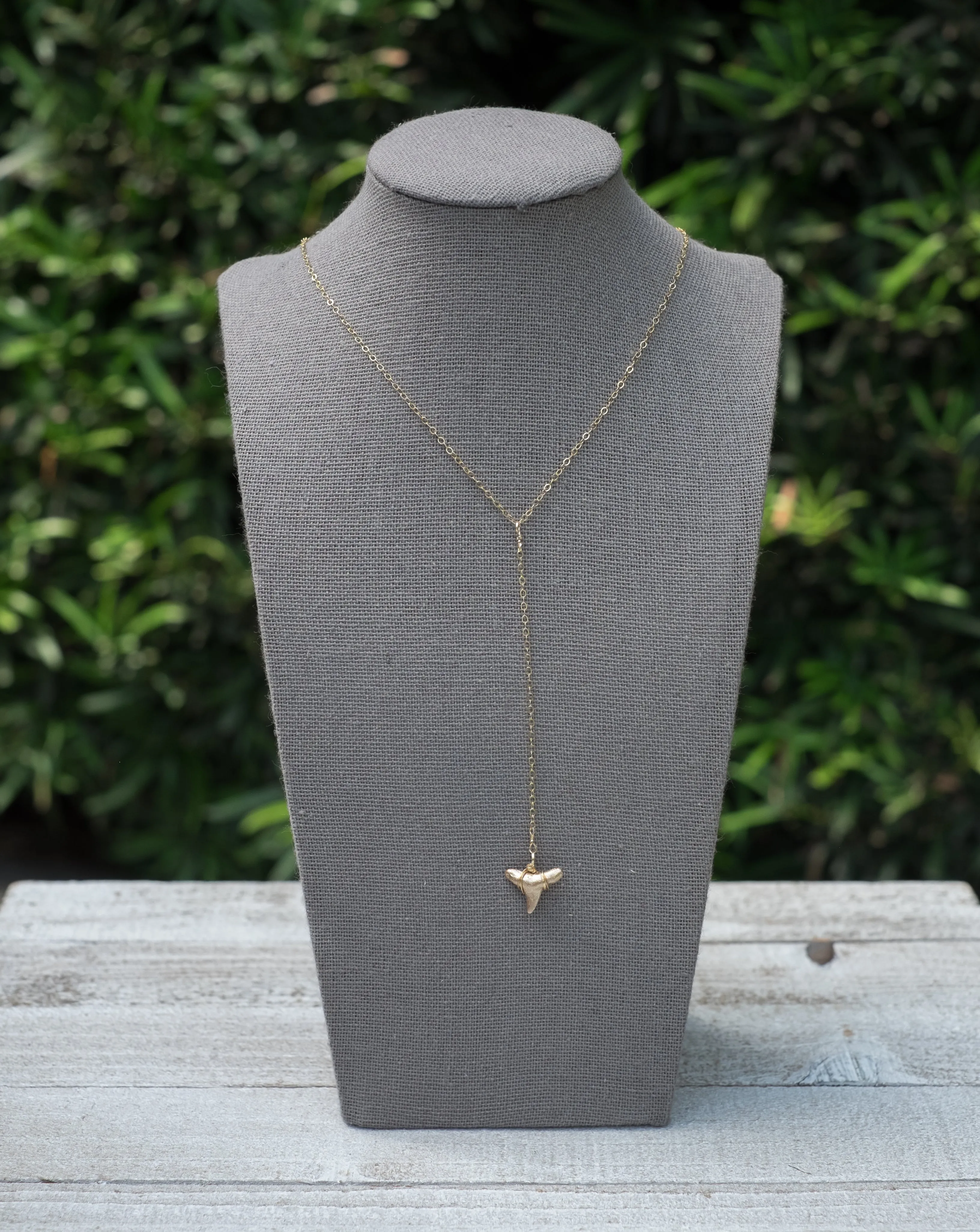 Y Knot Shark Tooth Necklace