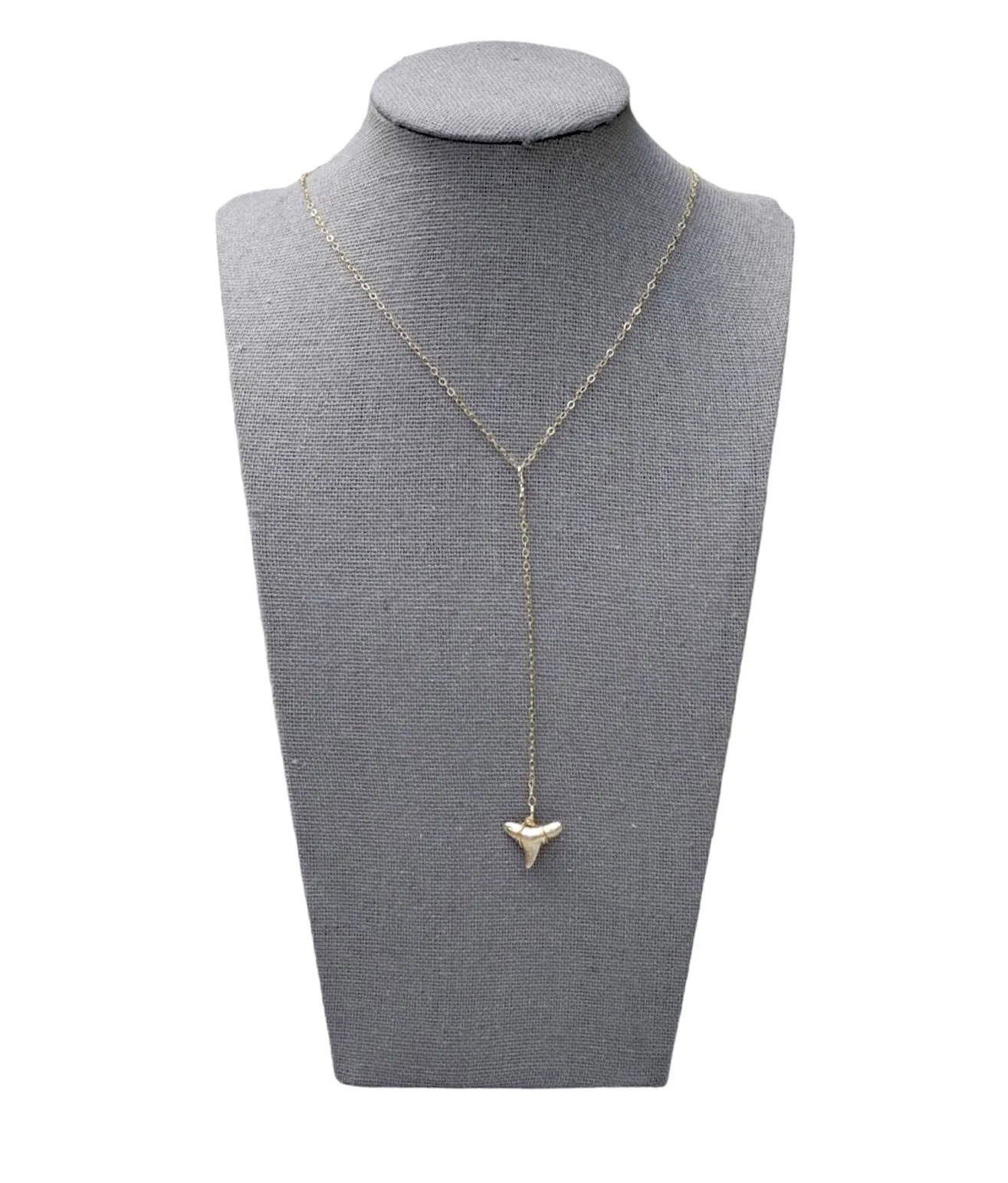 Y Knot Shark Tooth Necklace